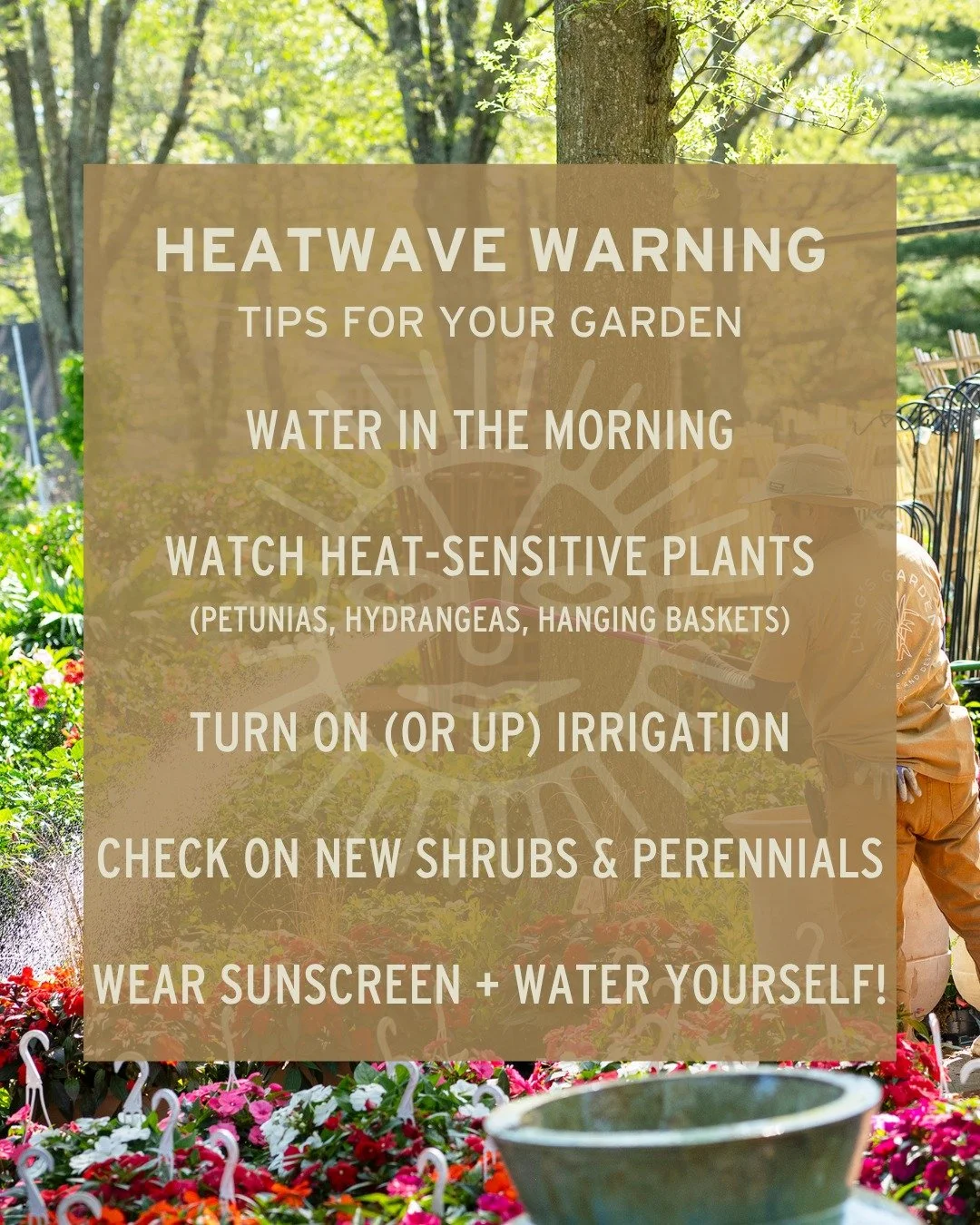 It's gettin' hot in here! 😅🔥😎 When temps climb, your garden needs a little extra love. 
Here's what to focus on now:

💧 Water water water!
- Give yourself a few extra minutes in the morning to water before the heat peaks, and avoid watering in th