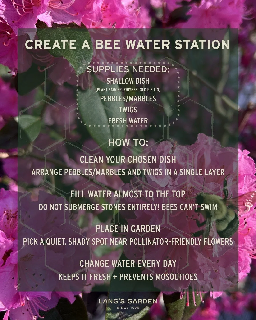Happy World Bee Day! 🐝

We love our bee friends here at Lang's, and here's why: 
Besides being cute &amp; fuzzy, they are essential to our ecosystem. Bees are responsible for pollinating roughly 1/3 of the human food supply. By pollinating trees and