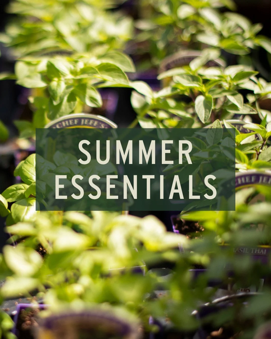 It's okay Mother Nature, we still have summer on our minds and we'll be ready for it whenever you are...

Unfortunately, so will the bugs! Stock up on your citronella now so you're ready to enjoy the outdoors all season long. We have many different w