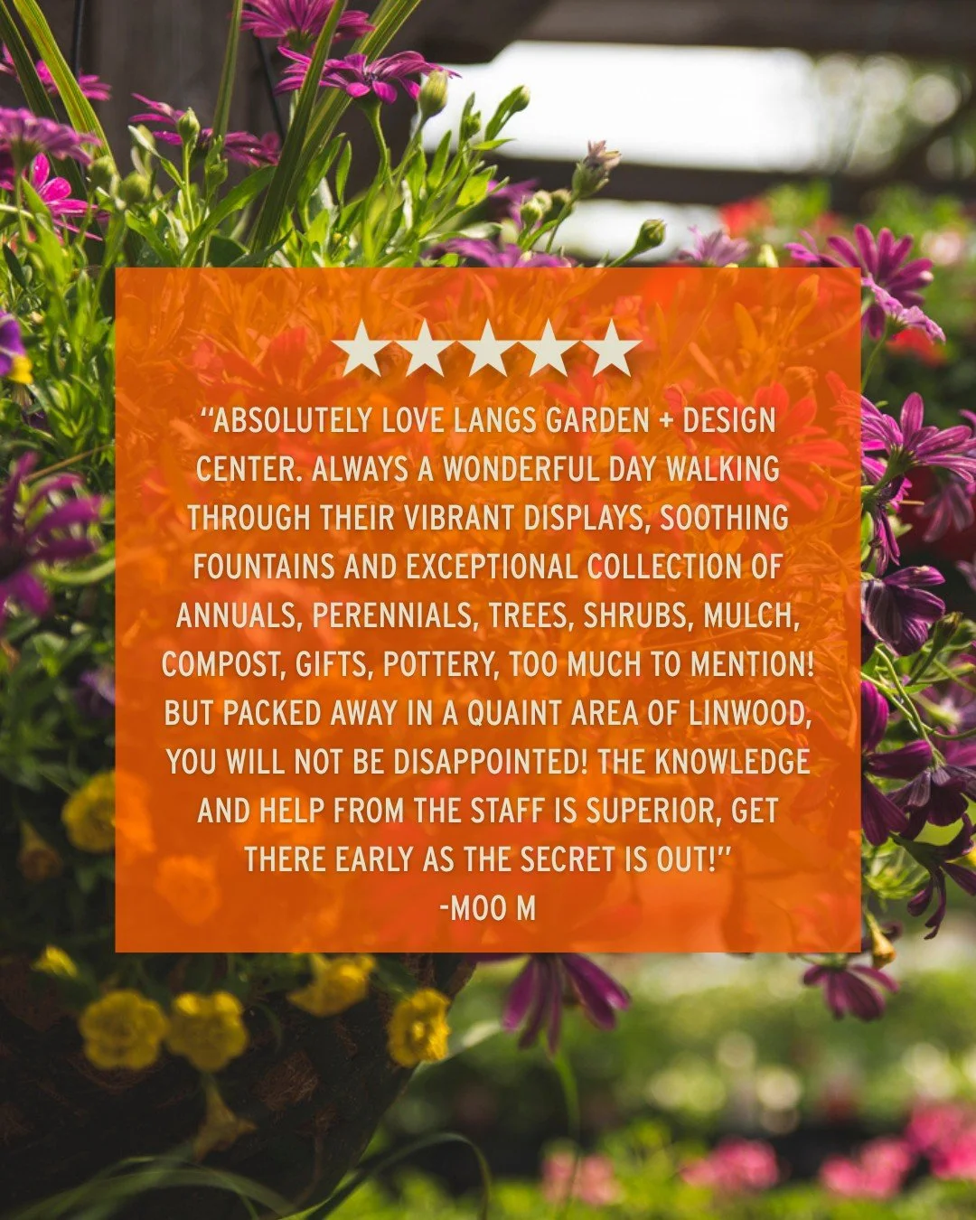 We couldn't say it better ourselves. 🧡

Thanks so much for the amazing words, Moo! We love that you enjoy spending your day with us just as much as we do!

Come see for yourself what our customers are raving
about 👇
📍 Lang's Garden Center - 2020 W