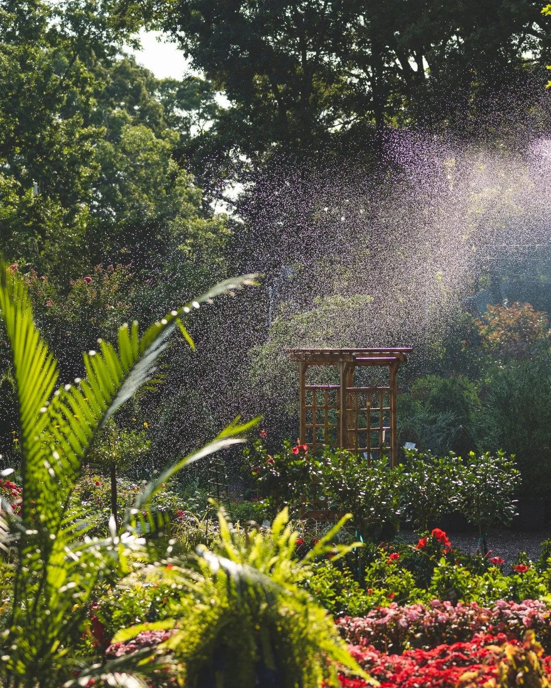 We can see clearly now, the rain is gone! 🎶☀

We know you're all itching to get back to gardening this weekend after this never-ending rainy weather, but are you wondering how to help your garden recover after heavy rainfall &amp; humidity?

Swipe t