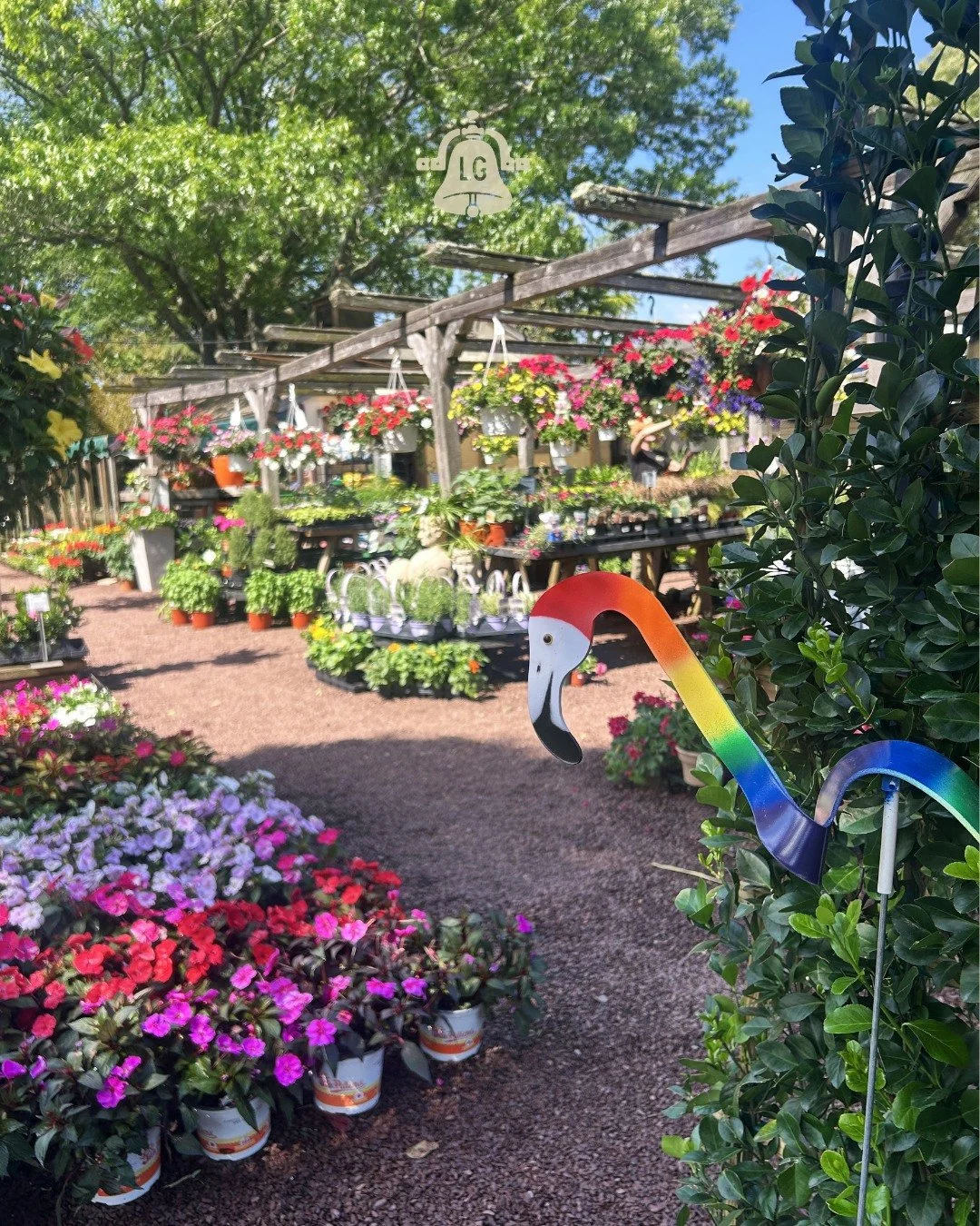 🌈 Happy Pride Month! 🌈

Lang's has always been a place where everyone is welcome to dig in, grow, and bloom exactly as they are. Whether you're planting your first pot or designing your dream landscape, we're glad you're here!

This June, we celebr