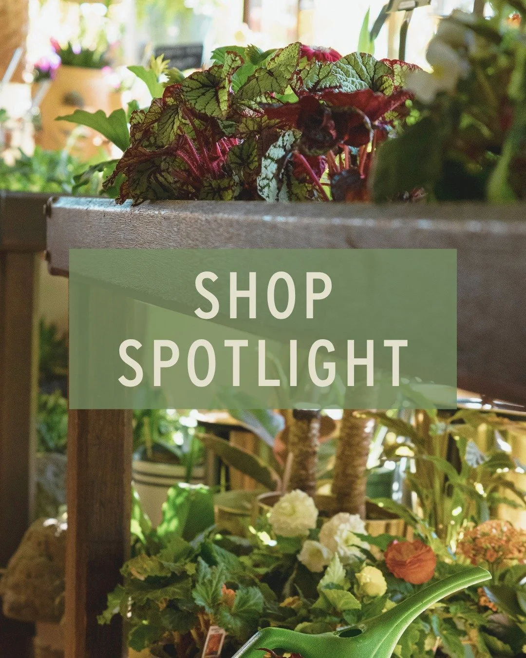 Today we're featuring @dilo_home - born and made in Philly, their products are handcrafted by locals using USA materials. 🇺🇸

Stop in to smell everything in person and take home your favorite scent, but fair warning - it might be hard to choose! 🕯