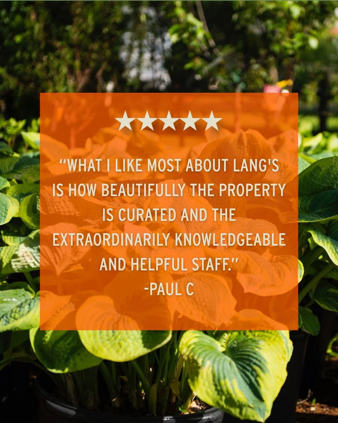 We work hard to stand out, and it's wonderful to know it shows!

Thank you for the amazing review, Paul! 🤩

Come see for yourself what our customers are raving
about 👇
📍 Lang's Garden Center - 2020 West Ave, Linwood
📞 (609) 927-6283
🕐 Open Mon t
