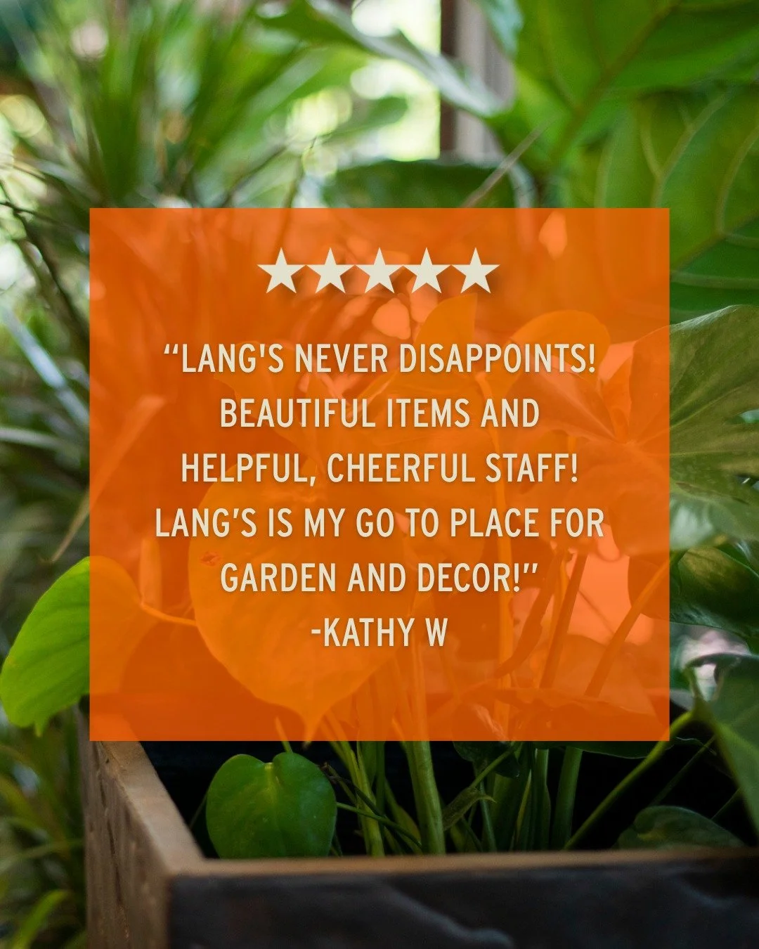 Happiness Guaranteed 🧡

Thanks so much Kathy! We are so glad to be here for you!

Come see for yourself what our customers are raving
about 👇
📍 Lang's Garden Center - 2020 West Ave, Linwood
📞 (609) 927-6283
🕐 Open Mon to Sat 8am-6pm | Sunday 9am