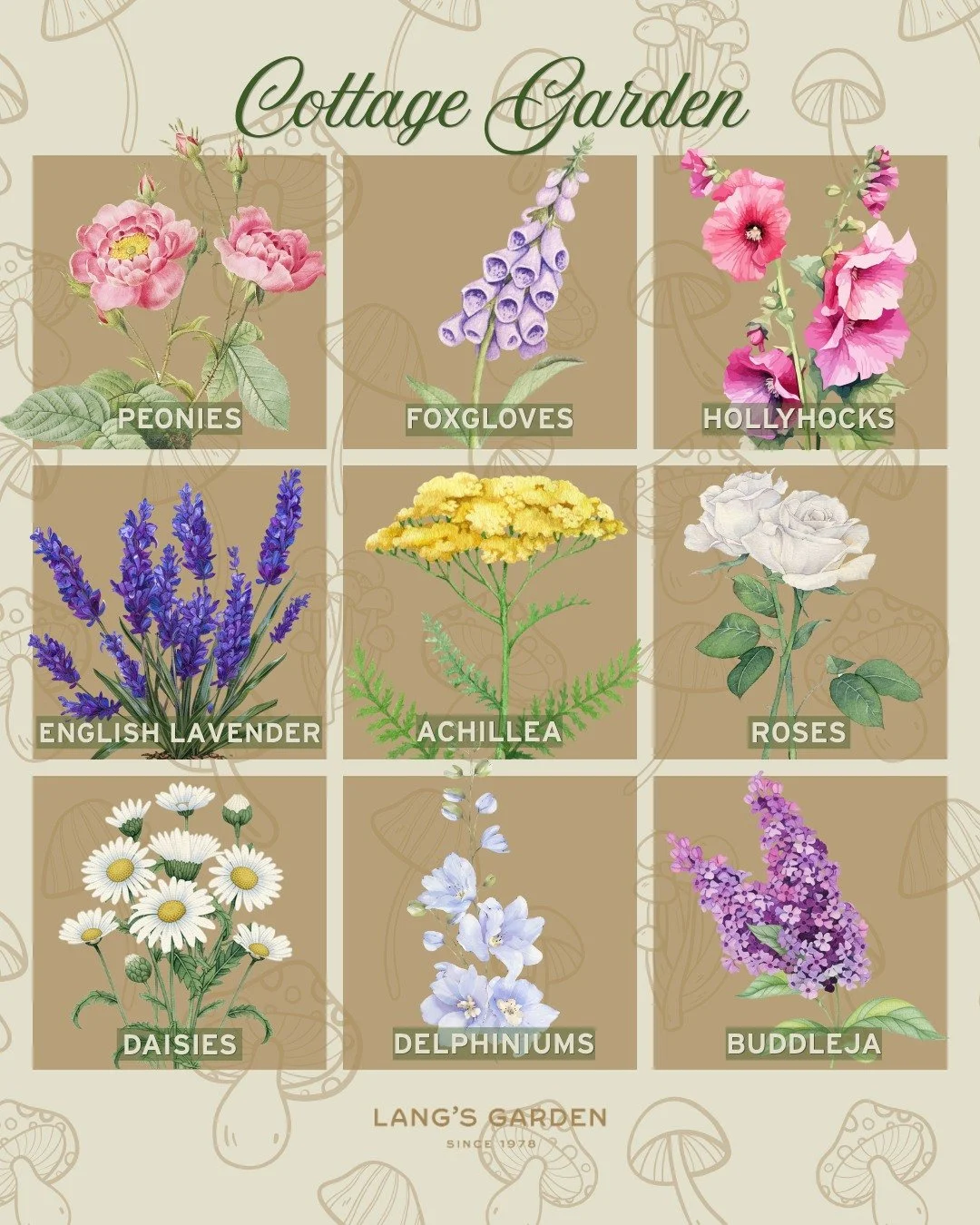 If your garden dreams look like a cottagecore fairytale, this is for you ✨

Cottage gardens offer a romantic, relaxed aesthetic that blends beauty with function. There is charm in the chaos, which creates a vibrant, low-maintenance, and wildlife-frie