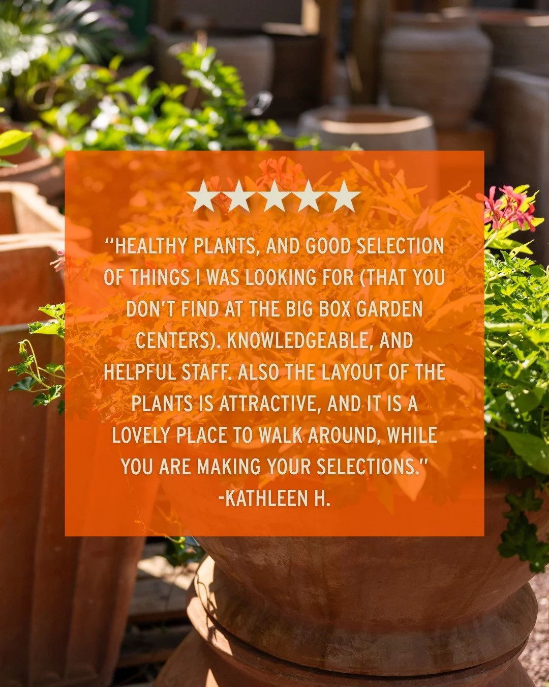 There's no place like Lang's 🌈 Thanks so much for the amazing review Kathleen!

Come by &amp; take a stroll around the garden! 👇
📍 Lang's Garden Center - 2020 West Ave, Linwood
📞 (609) 927-6283
🕐 Open Mon to Sat 8am-5pm | Sunday 9am-3pm

#garden