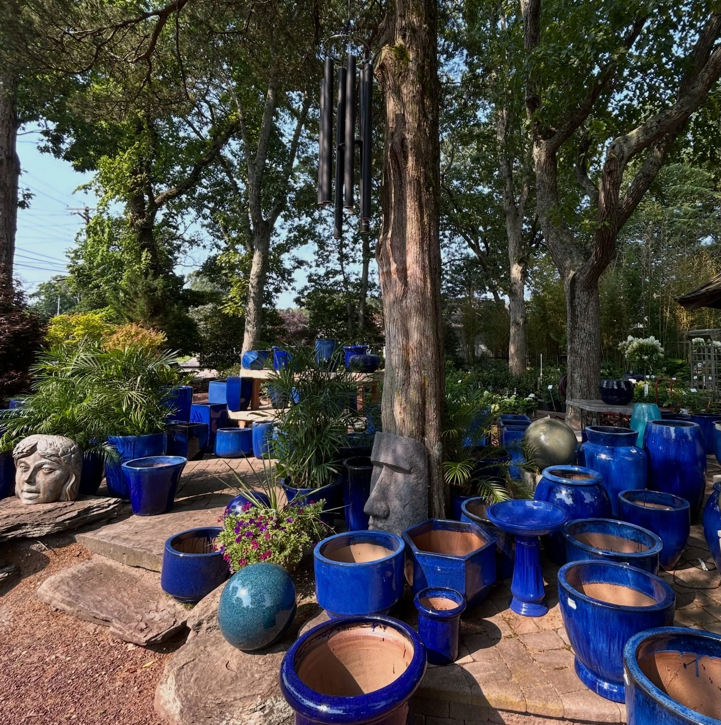 Sea of pots 🌊

Dive into our huge selection of unique, made-to-last, stunning pottery pieces spread out all around our property. So many sizes, shapes, and colors to pick from - these are just *some* of our blue ones - we know you&rsquo;ll find one 
