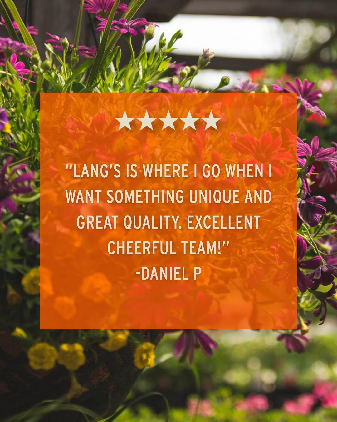 We are happy to help you find that perfect plant. 🌿

Thanks for the great review, Daniel! We're glad we can be your go-to! 😁

Come find something new to bring home! 
📍 Lang's Garden Center - 2020 West Ave, Linwood
📞 (609) 927-6283
🕐 Open Mon to 