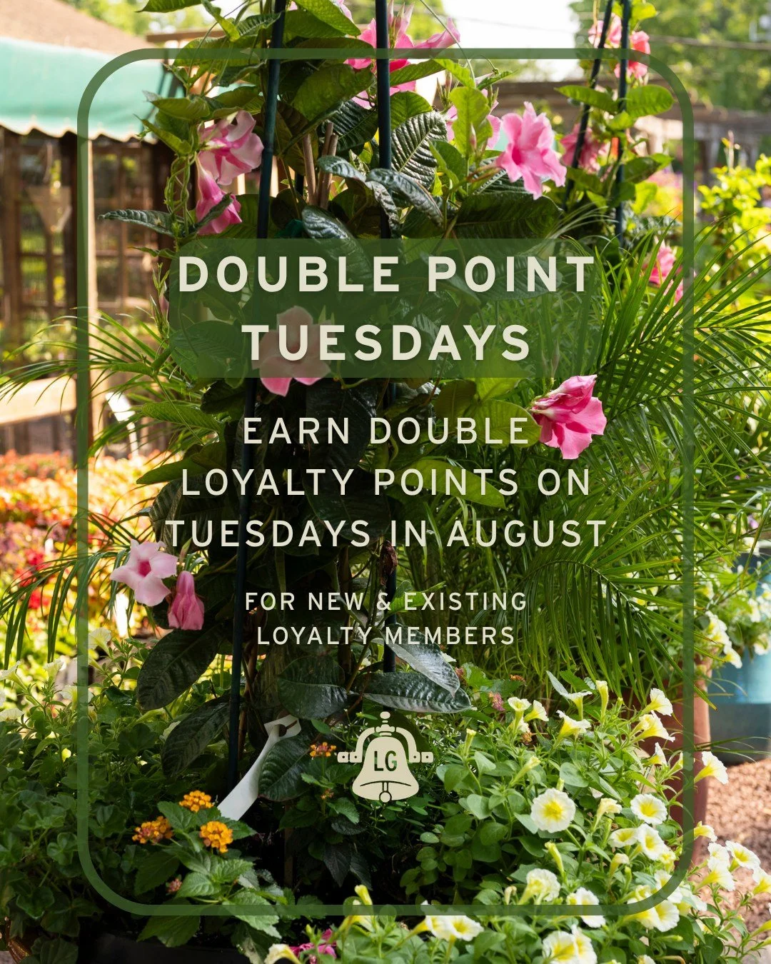 We&rsquo;re excited to offer you more chances for savings this month! 🎉

At 500 points, get a 15% off coupon towards a purchase of your choice, so come in on Tuesdays &amp; take half the time to get there! (normally $1 spent = 1 loyalty point)

Sign