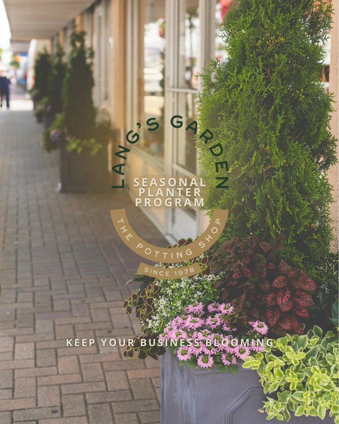Summer's winding down, but your storefront doesn't have to! 🍂

Our Seasonal Planter Program handles design and install of beautiful seasonal planters for your business all year long (4 seasons with holidays included - 2 season minimum) so you can st