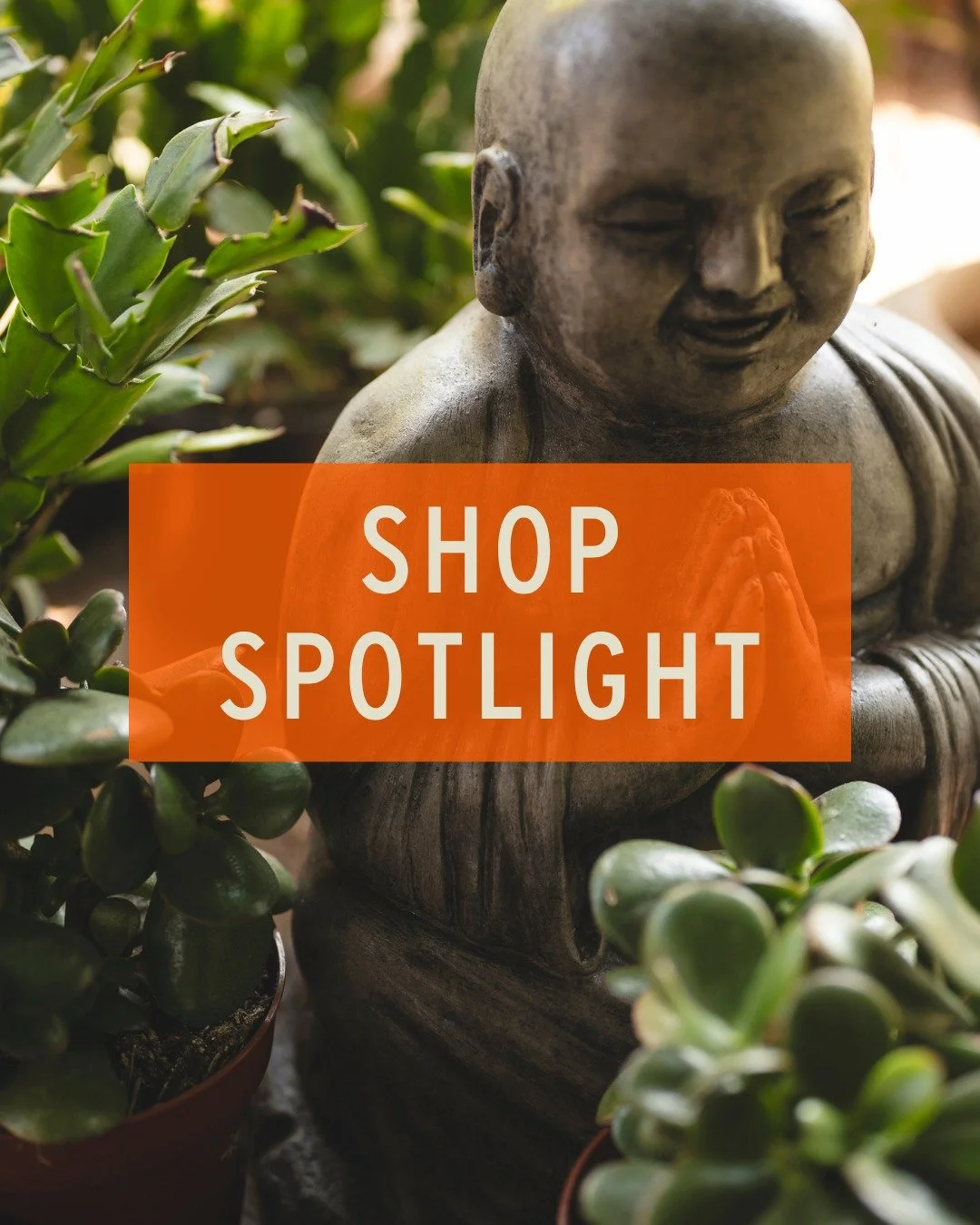 These pieces are a staff favorite, &amp; we want to share with you! 

Habini: Home of Nature is an earthy product line by Garden Age Supply featuring handcrafted teak root furniture, driftwood accents, and sustainable natural home goods. Handcrafted 