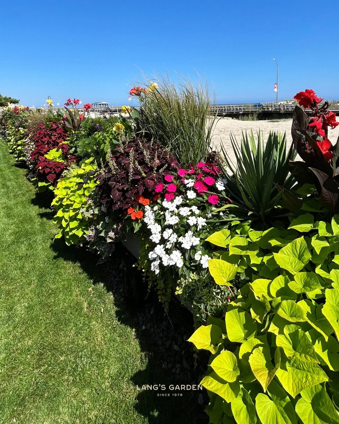 The install of our dreams 😍

This beautiful beachfront design has been thriving all summer, installed with care by our coastal-expert landscaping team &amp; maintained throughout the season to stay as lush and bloom-filled as possible. These clients