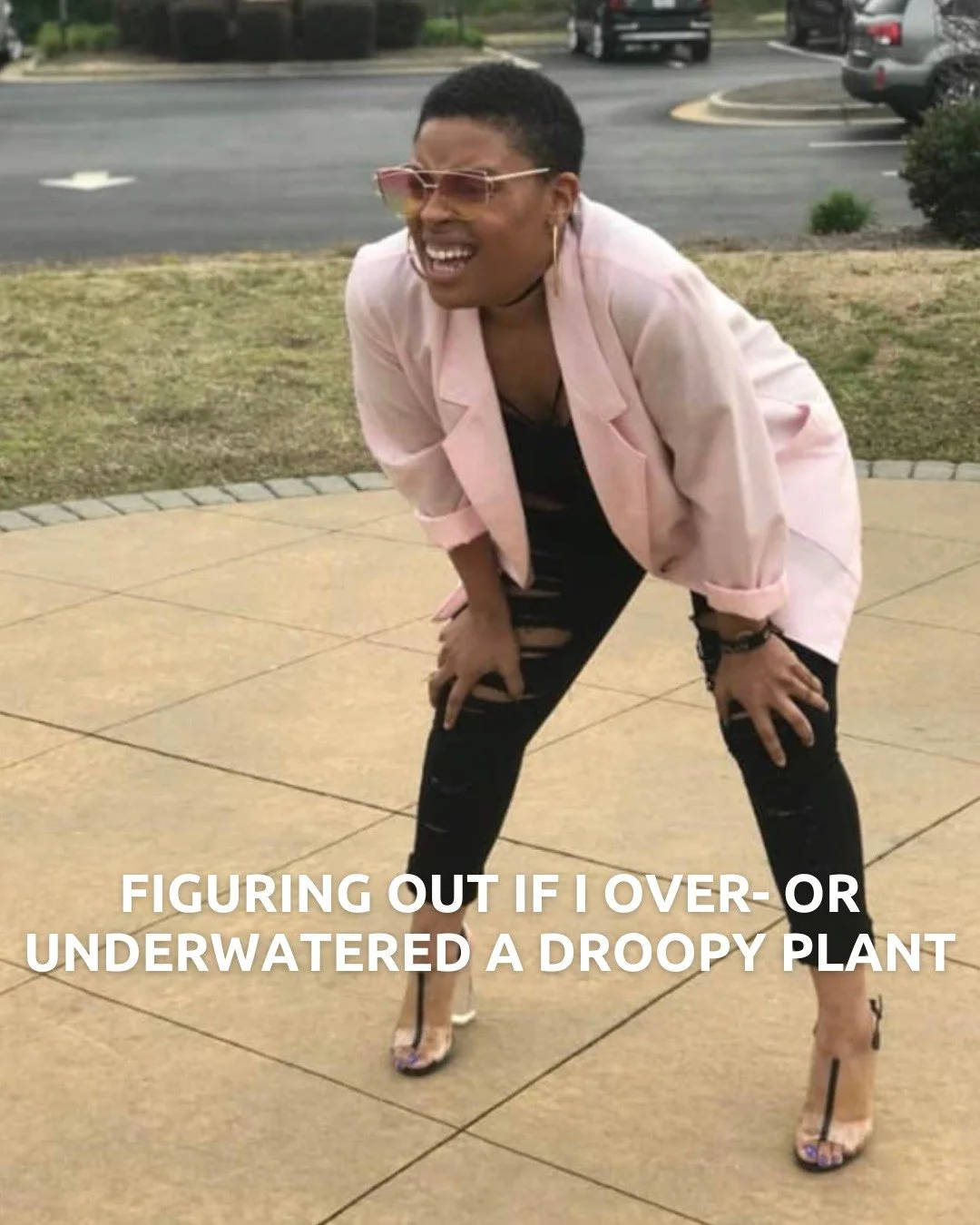 IYKYK 😂

End-of-summer gardening thoughts - equal parts patience, obsession, and joy.

Share the one you relate to the most in the comments. 🌱
📍 Lang's Garden Center - 2020 West Ave, Linwood
📞 (609) 927-6283
🕐 Open Mon to Sat 8am-5pm | Sunday 9a