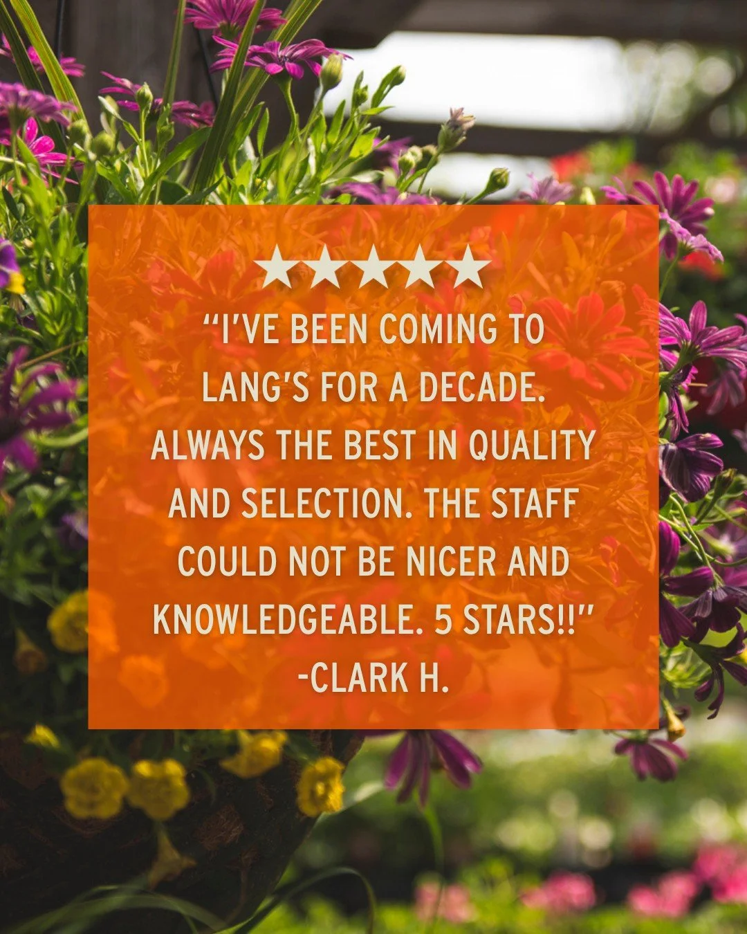 Our loyal customers are truly what keeps us going, so enjoy DOUBLE LOYALTY POINTS on Tuesdays in August as our gift to you! For new &amp; existing loyalty members.

Thank you for the great review &amp; loyalty, Clark! 

⭐⭐⭐⭐⭐
📍 Lang's Garden Center 
