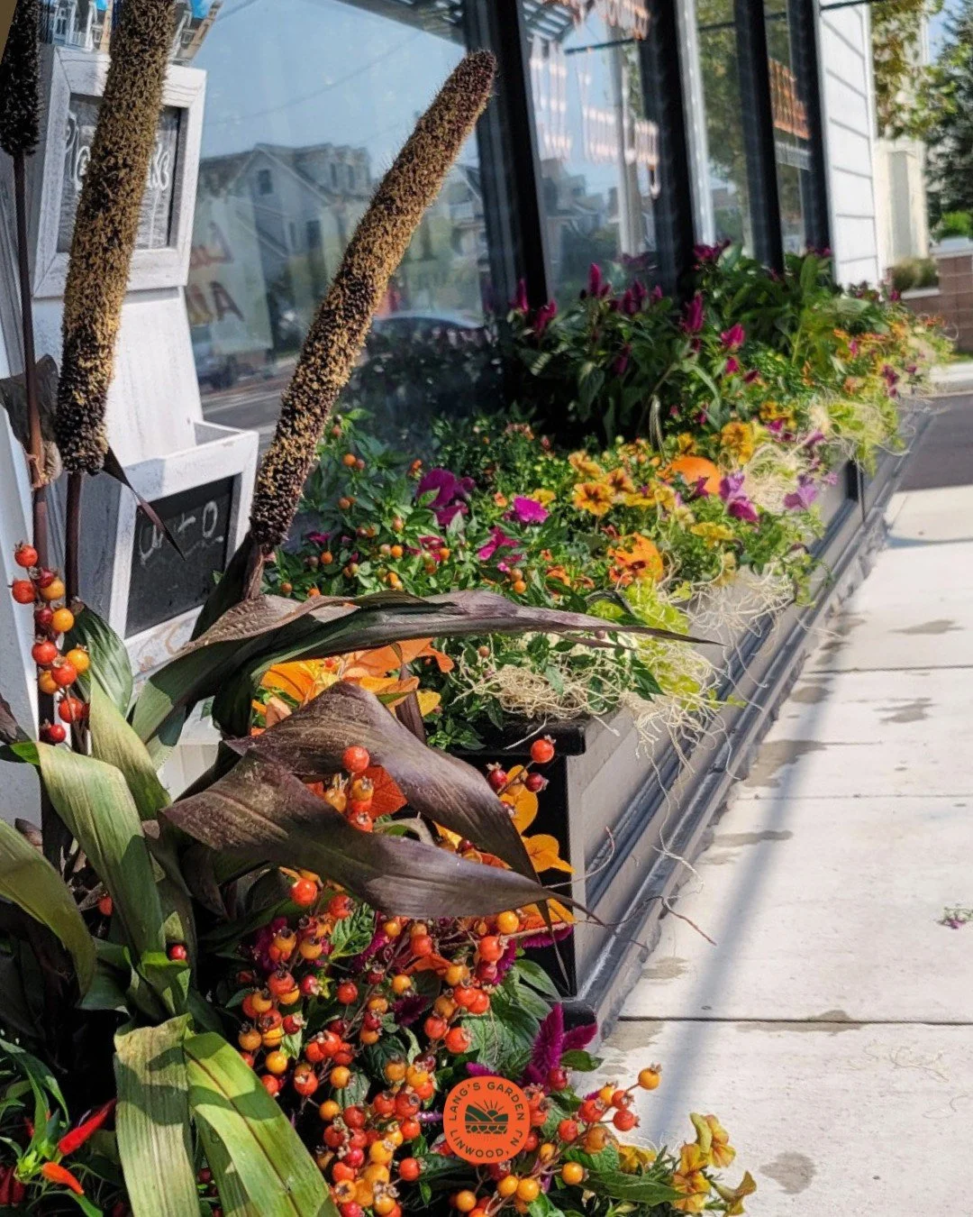 🍂 Keep your business blooming this fall! 

As the season shifts, so should your planters. Let us seamlessly swap in warm, rich fall color with gorgeous designs guaranteed to flourish at your location. One less thing on your plate as summer winds dow