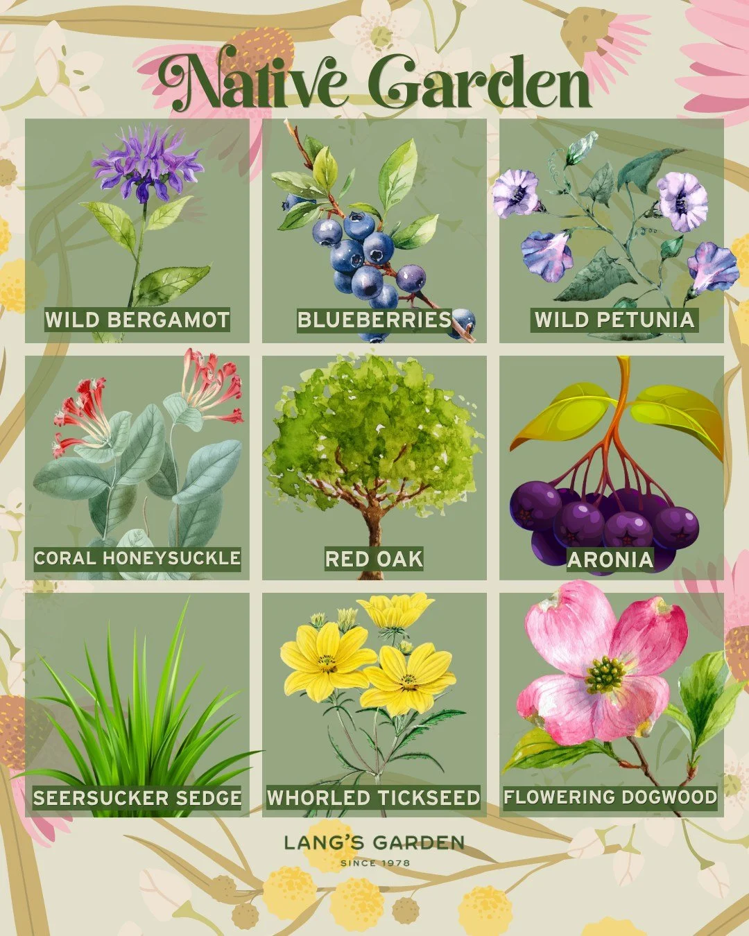 Native Gardens - Plant Something that Matters

Planting native plants has many benefits, like saving in water, cutting down on maintenance (mowing/fertilizing), stopping soil erosion with deep roots, and supporting local wildlife, birds, &amp; pollin