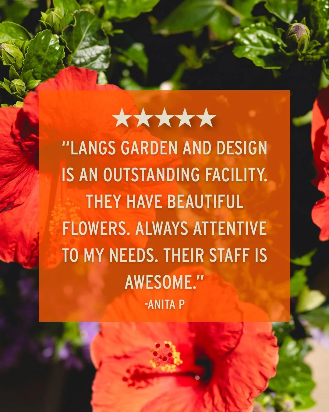 We are so proud to have such amazing customers who leave such great reviews, that even Google thinks they are fake! 🤣

Thanks so much for the 5-stars, Anita! 🧡

Come see for yourself what our customers are raving about! ⤵
📍 Lang's Garden Center - 