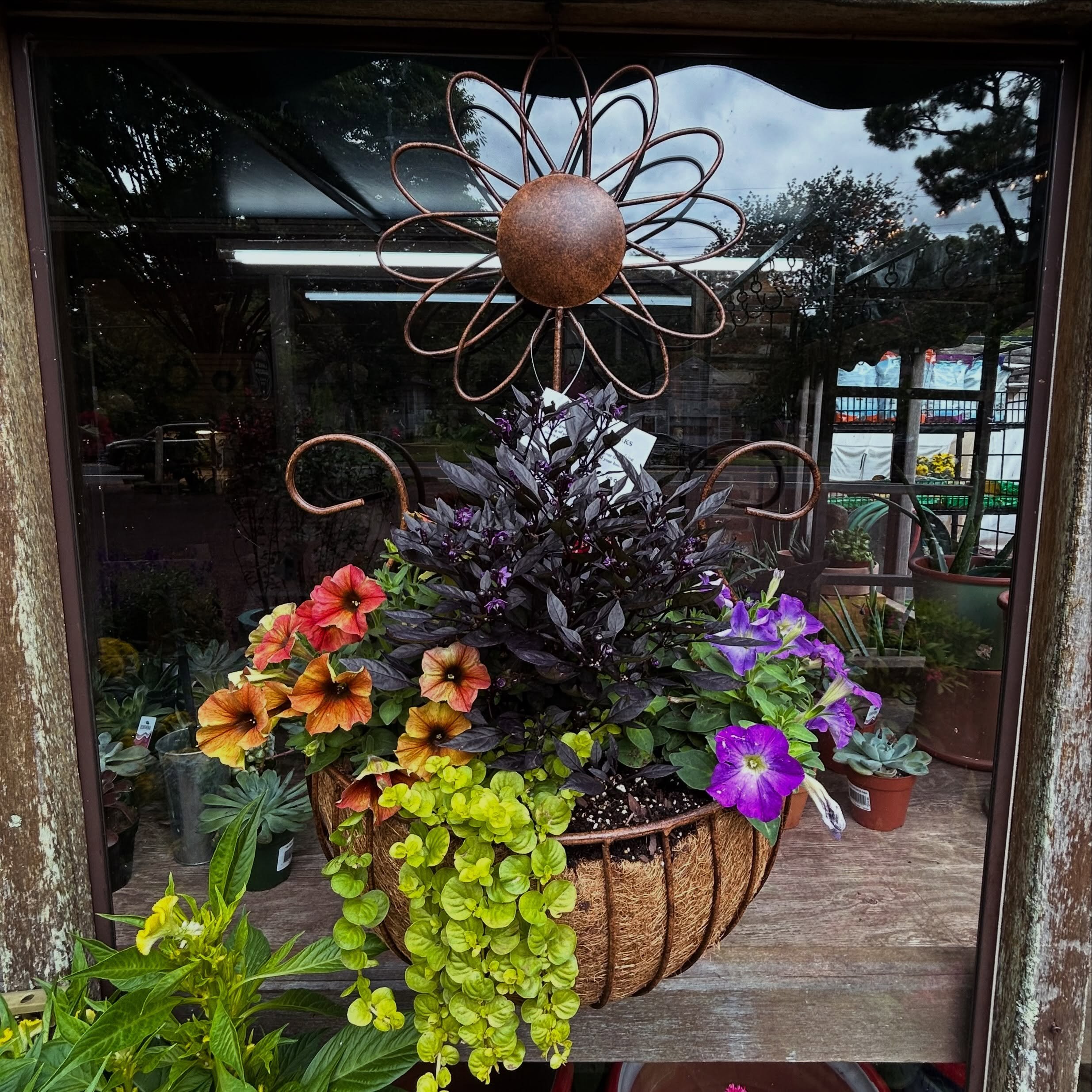 Gorgeous arrangements for every occasion 💐

Come pick up the perfect gift for that special someone, or as a treat to yourself!

Cards + gift cards available for purchase. 🎁

📍 Lang&rsquo;s Garden Center - 2020 West Ave, Linwood
📞 (609) 927-6283
?