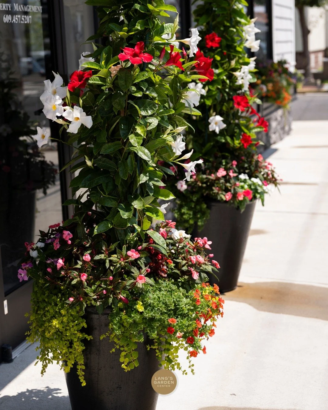 Let the flowers do the talking 🌺

Unlike a sign or ad, flowers don't need to be read to make an impression - they communicate warmth and welcome instantly, to everyone who walks or drives by.

Foot traffic naturally drops as summer crowds thin out, 