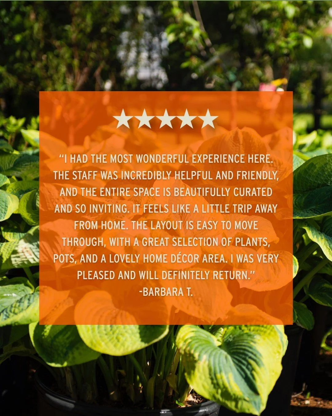 Don't just take our word for it, our reviews say it all.

Barbara, thanks so much for the kind words! See you again soon! 🧡

Choose Lang's - happiness guaranteed! 🤩
📍 Lang's Garden Center - 2020 West Ave, Linwood
📞 (609) 927-6283
🕐 Open Mon to S