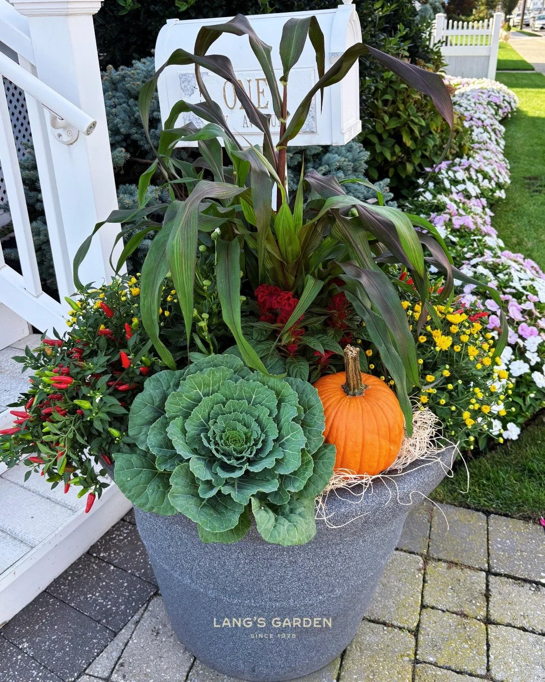 "Autumn is a second spring when every leaf is a flower" - Albert Camus

Let us plant your second spring planters. 🍁
Contact the Potting Shop today! 

🖱️ langsgarden.com/thepottingshop 
💌 potting@langsgarden.com
📞 (609) 927-6283a

#fall 