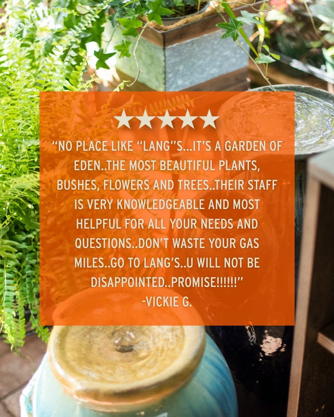 Let us bring your space to life. Happiness guaranteed! 🧡

Thanks for the great review &amp; for trusting the Lang's Gang, Vickie!

We're here for all your plant needs - come say hi!
📍 Lang's Garden Center - 2020 West Ave, Linwood
📞 (609) 927-6283
