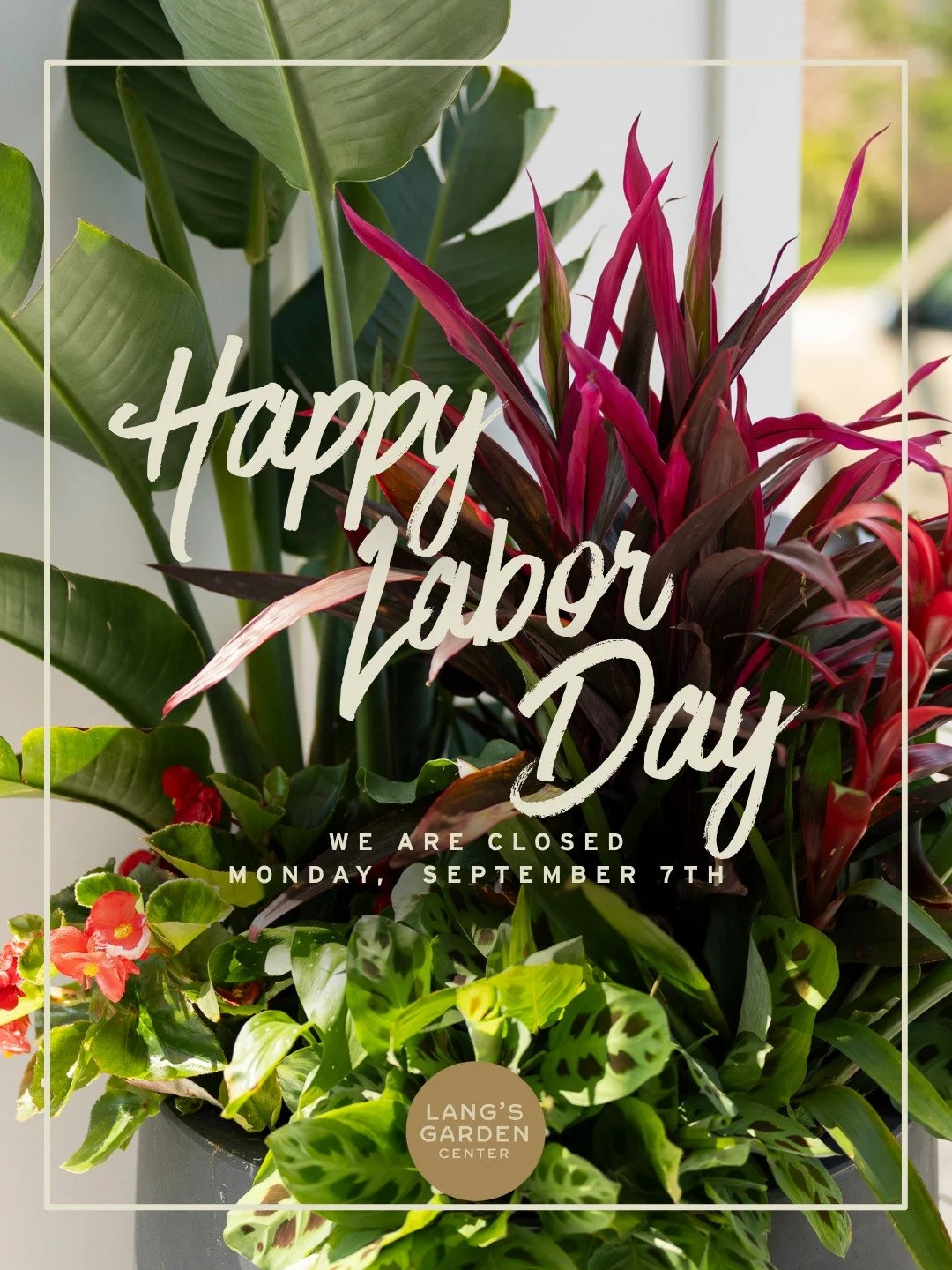 Closed Monday, September 7th for Labor Day 🇺🇸

The Lang's Gang works hard all season keeping your gardens growing, so today we're taking a well-earned break. 

Enjoy the long weekend, and we'll see you back here Tuesday!