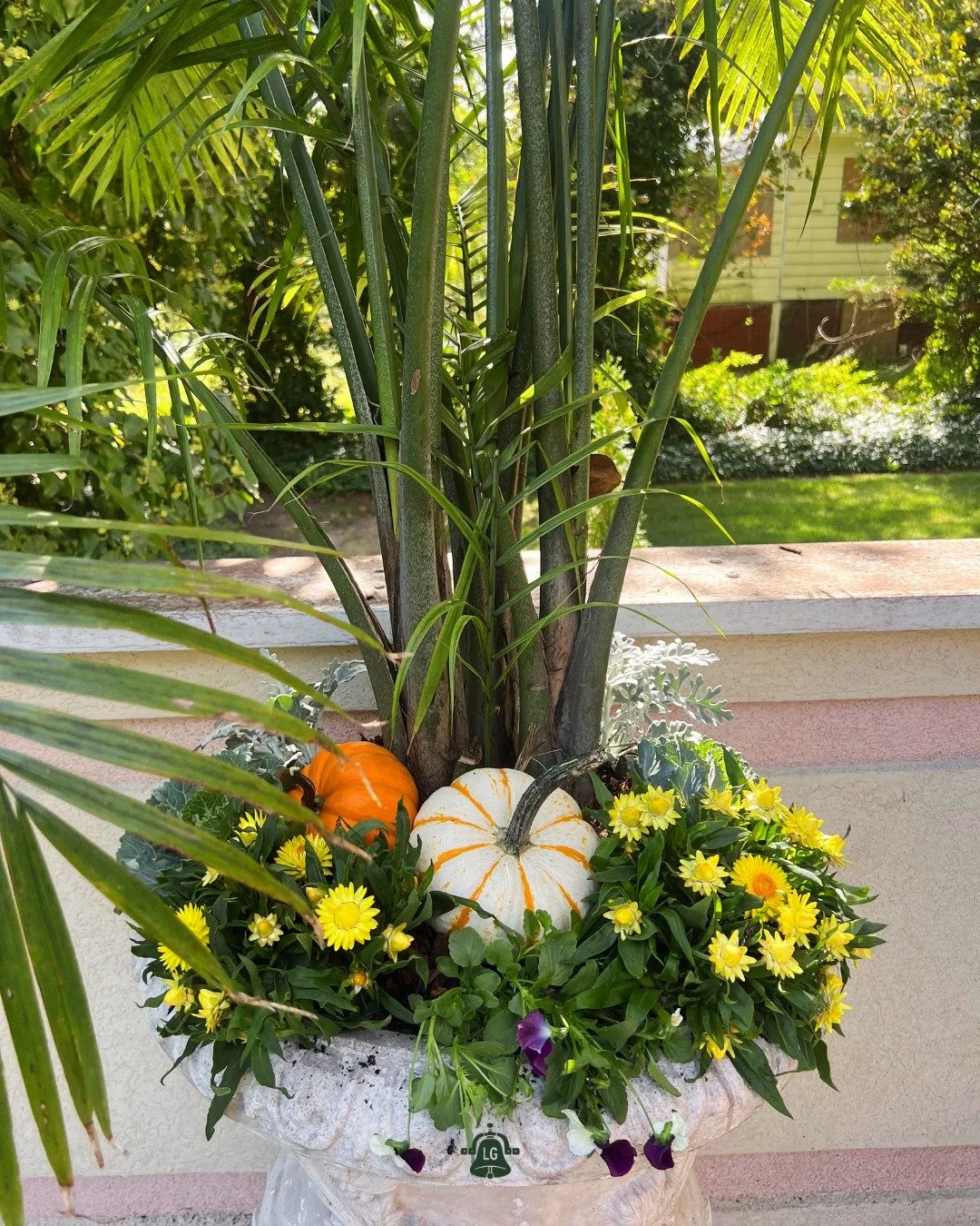 September is the perfect blend of summer &amp; fall - just like this planter!

Let us transition your planters from summer beauties into gorgeous fall arrangements. Contact the Potting Shop today! 🪴

🖱️ langsgarden.com/thepottingshop 
💌 potting@la