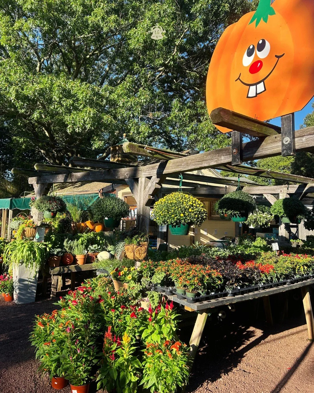 "Buy your fall decorations here at Lang's!" - Petey Pumpkin

You should listen to him. 😉
We can also help you with your fall decor design and set up at your property! DM us to learn more!

📍 Lang's Garden Center - 2020 West Ave, Linwood
?