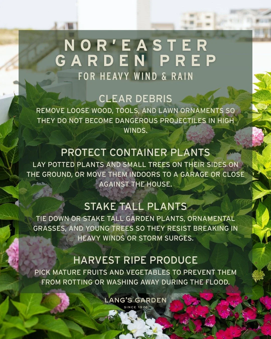 Follow these few simple steps to help your coastal garden weather the storm.

Want to build a more storm-ready landscape?
🌾 Choose salt-tolerant plants
🌳 Add hedge trees and shrubs as windbreaks
🌧️ Incorporate rain gardens and drainage trenches

N