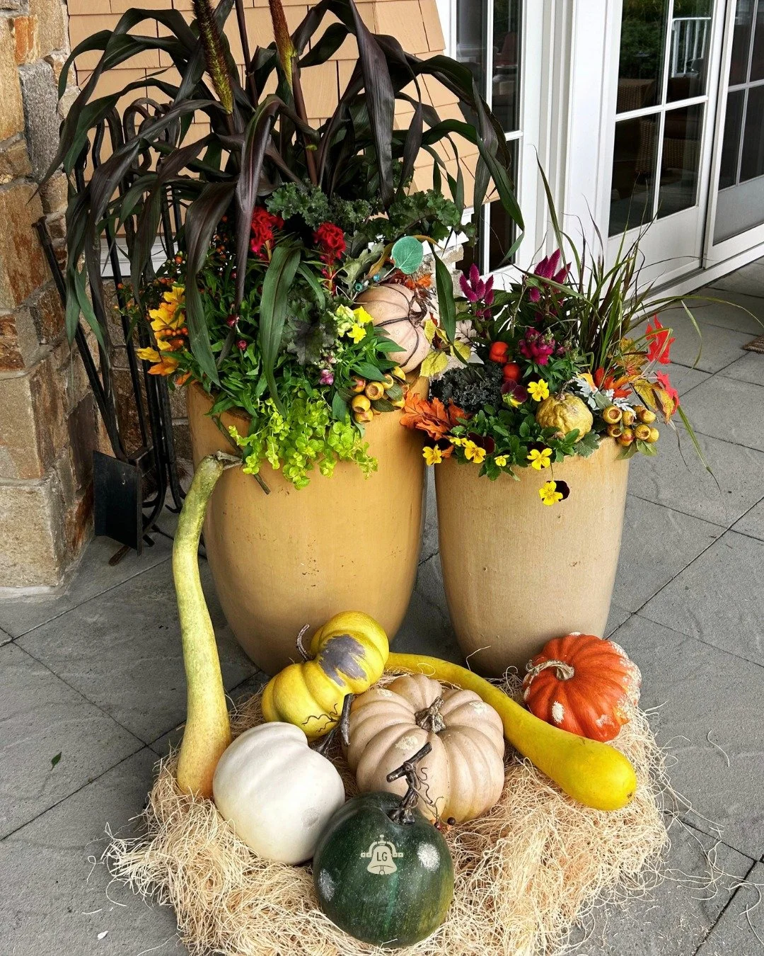 Fall color done right. 💛

Want a fall look like this for your porch? Come shop at the store, or ask about our Seasonal Planter Program + Porch Decoration Packages!

📍 Lang's Garden Center - 2020 West Ave, Linwood
📞 (609) 927-6283
🕐 Open Mon to Sa
