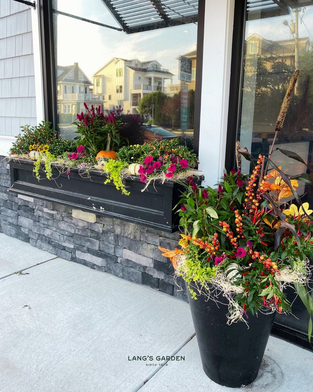 Fall is here. Are your planters ready for it? 🍂

The summer crowds have gone home, but your off-season regulars are still walking past your door. Fresh seasonal planters tell them you're open and glad they came.

Our Seasonal Planter Program puts fa