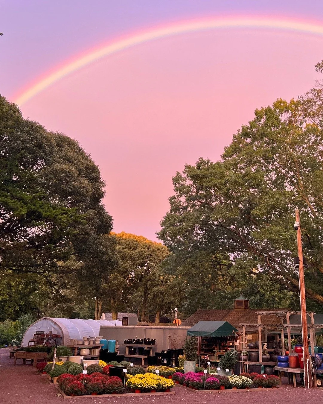It's easy to get pretty photos here at Lang's, but when the sky turns just as colorful as our flowers... it's pure magic. 🌈

Take a break from your errands and stop by this week. We'd love to see you! 🍂

📍 Lang's Garden Center - 2020 West Ave, Lin