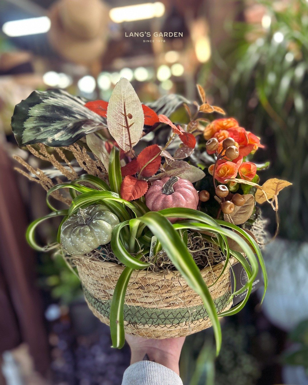 Dinner party? Housewarming? Birthday? Just because? 

Lang's has you covered with fall arrangements, cards, and gift wrapping too. 

One stop and you're done. Never show up empty-handed again!

📍 Lang's Garden Center - 2020 West Ave, Linwood
📞 (609