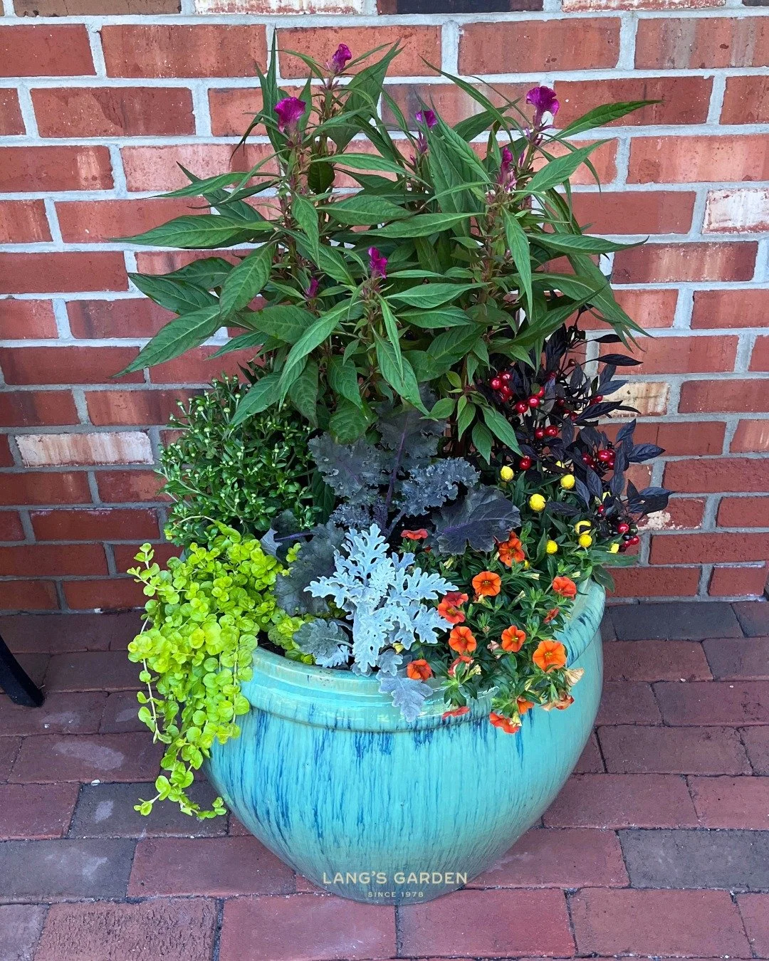 Our Seasonal Planter Program brings fresh, expert-designed containers to restaurants, offices, and storefronts across Atlantic and Cape May counties with a simple monthly subscription.

Today&rsquo;s your last chance to enter our Local Business Givea