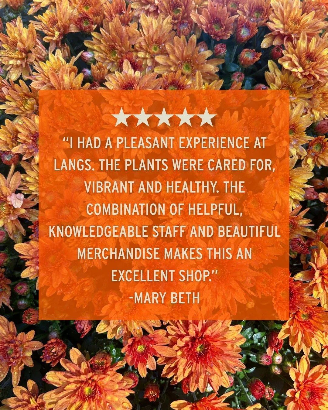 Our team loves helping you find the right plant for the right spot, whether you&rsquo;re refreshing a porch, starting a native garden, or completely re-designing your space. Thank you for taking the time to share your experience with us, Mary Beth! ?
