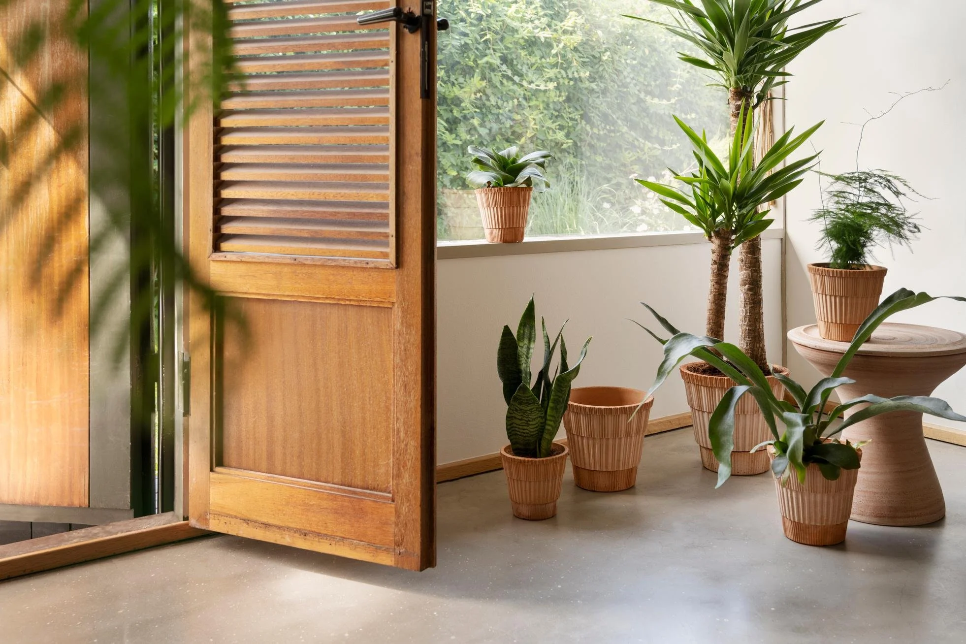 Bergspotter_Atlas_Celeste_dragør_1313_raro_ss.jpg