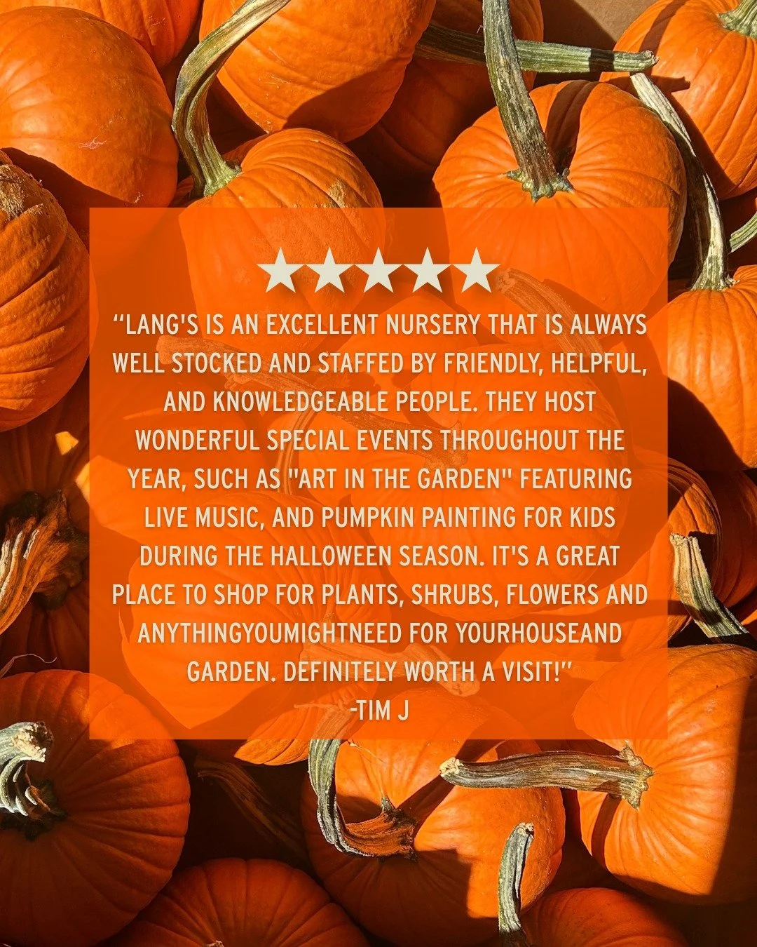 We love being the place to go for home, garden, and FUN! 🧡

Thanks so much for the review, Tim!

Missed Kid's Pumpkin Painting last weekend? We're hosting it again this Sunday, October 25th from 11am-2pm! 🎃

📍 Lang's Garden Center - 2020 West Ave,