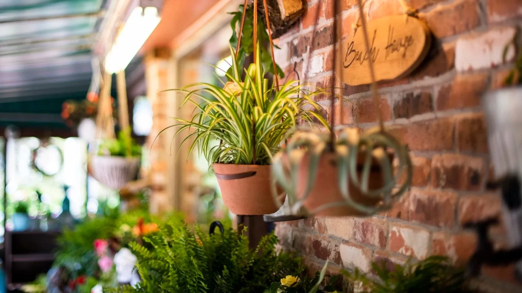 Langs_Garden-102.jpg