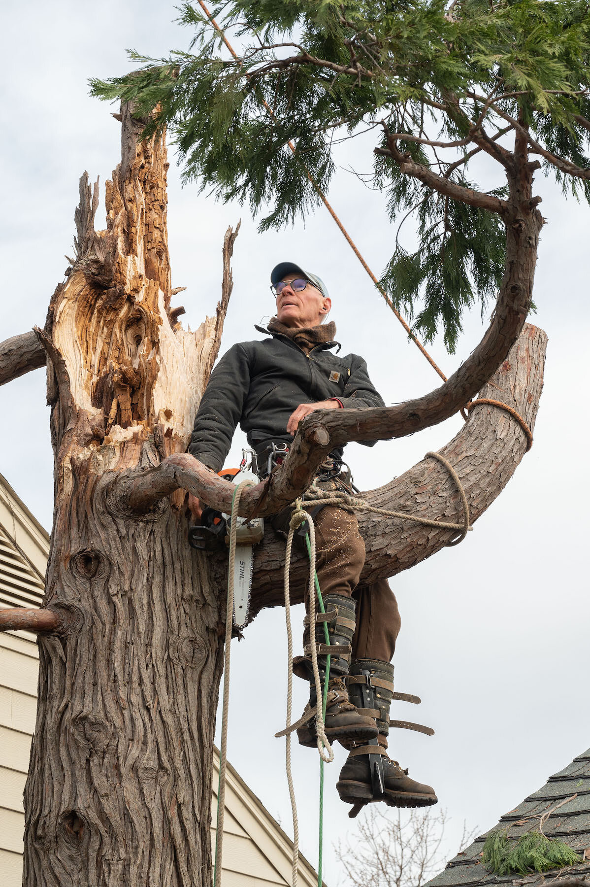 2021 Three Crosses Tree Service -06- 5820 copy.jpg