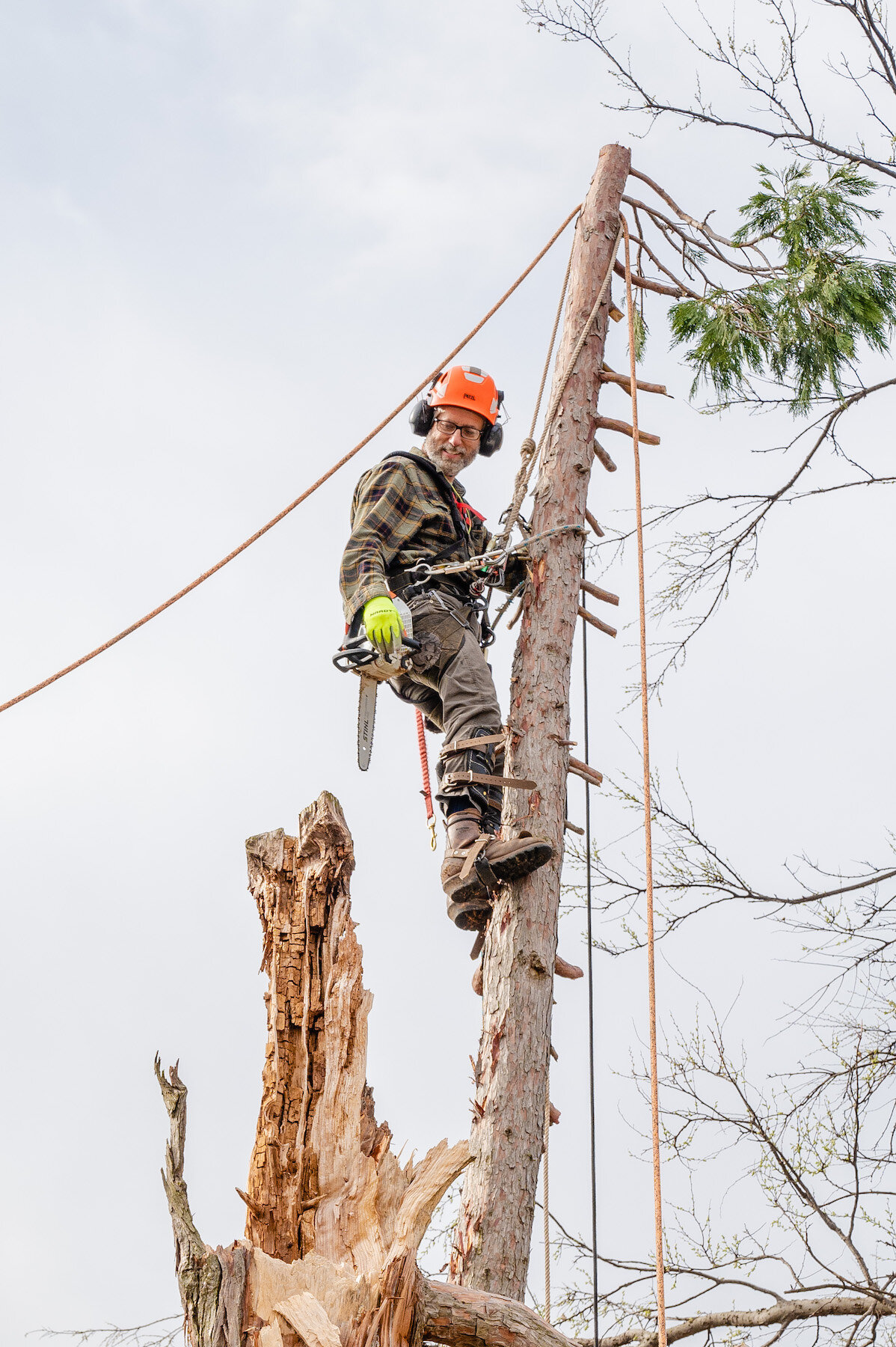 2021 Three Crosses Tree Service -05- 5815 copy.jpg
