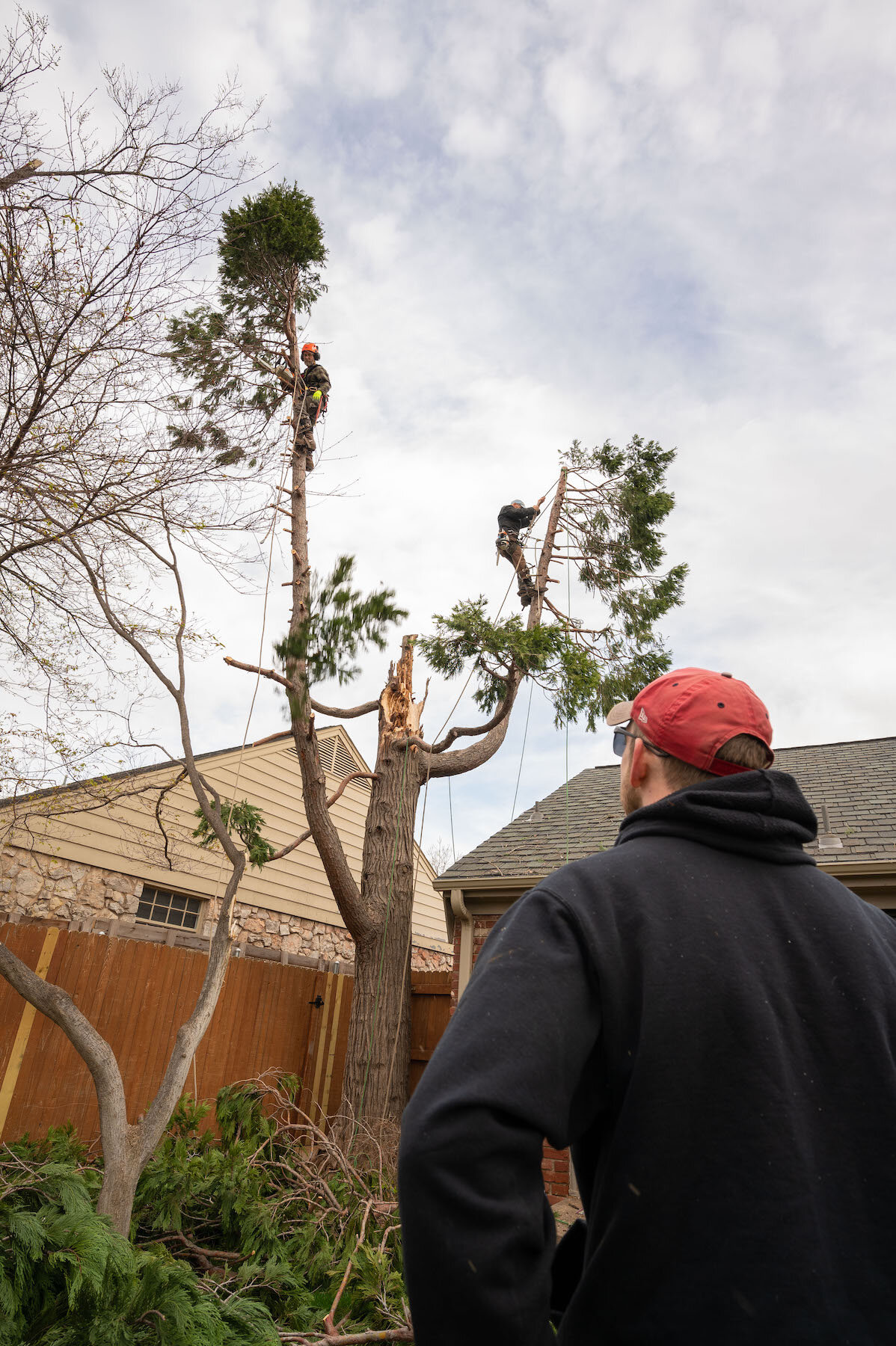 2021 Three Crosses Tree Service -02- 5802 copy.jpg