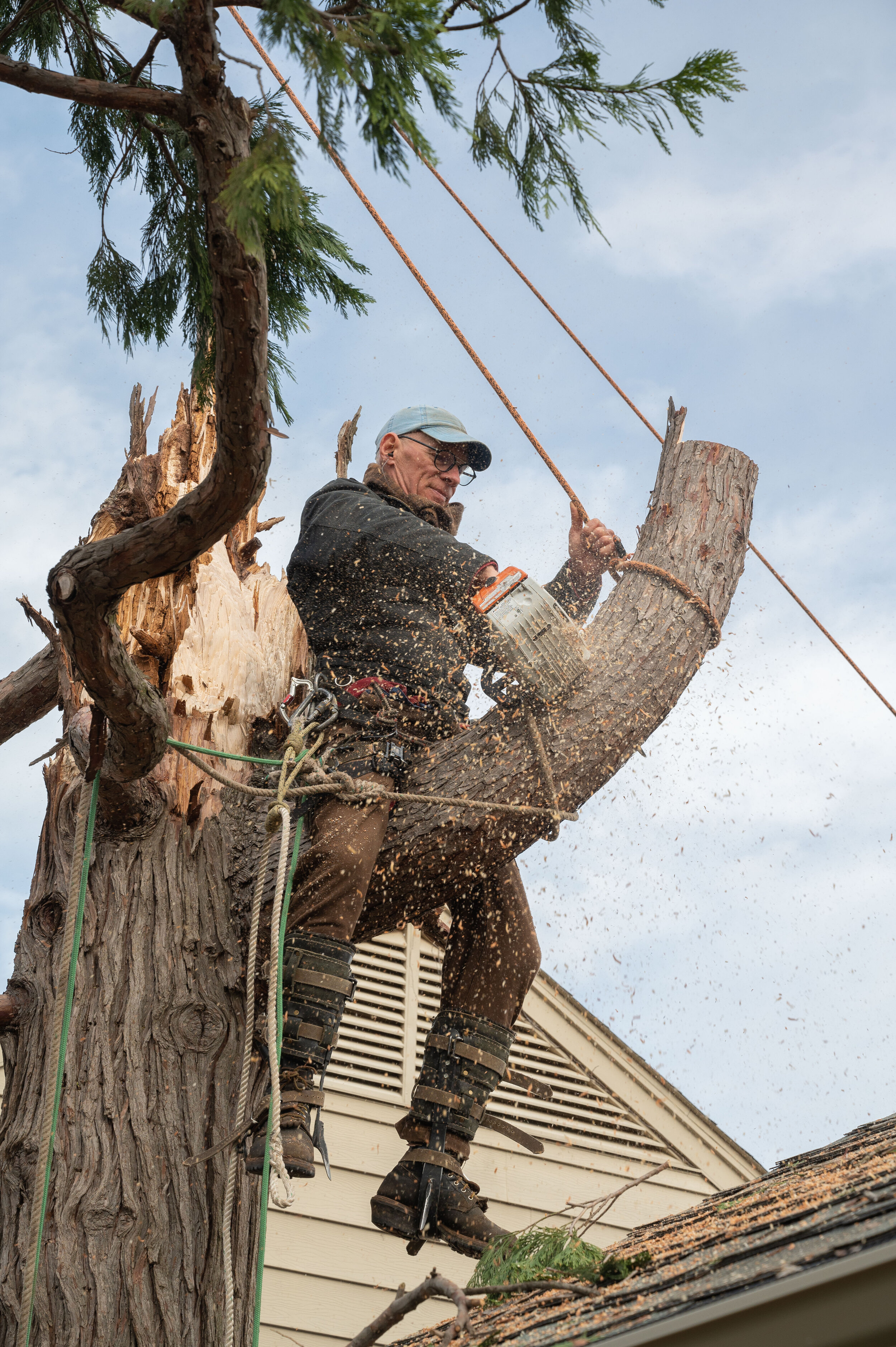2021 Three Crosses Tree Service -08- 5826 copy.jpg