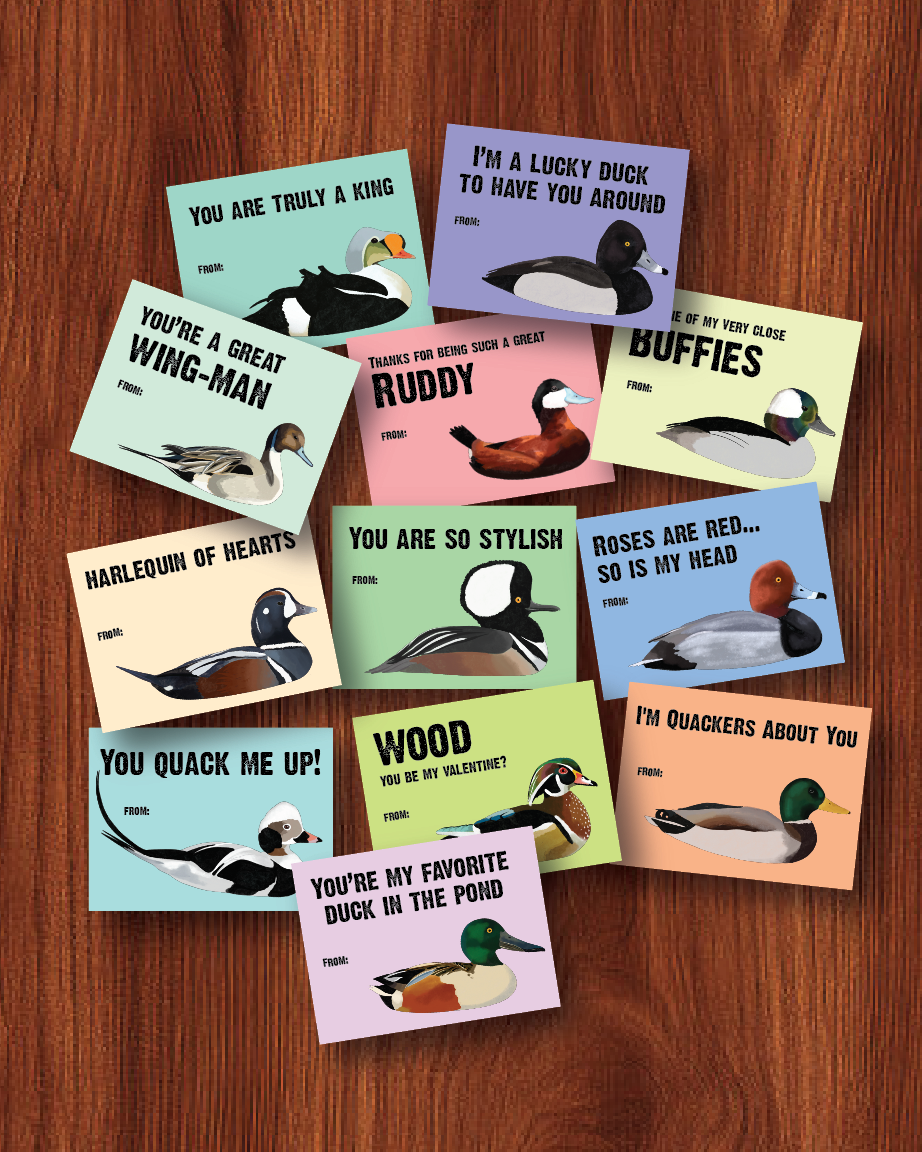 duck valentines cards