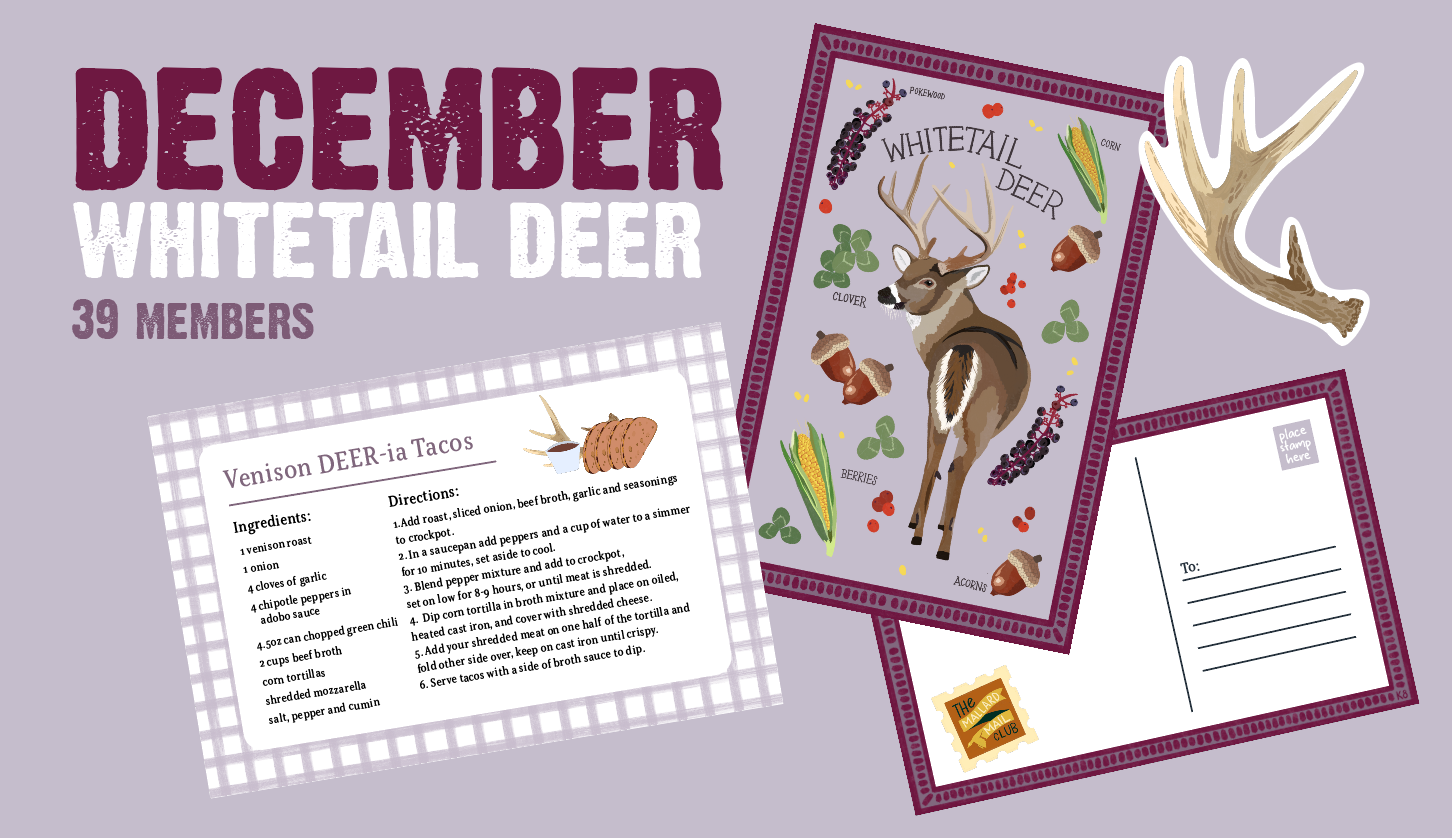 Deer print, recipe card and sticker for December 