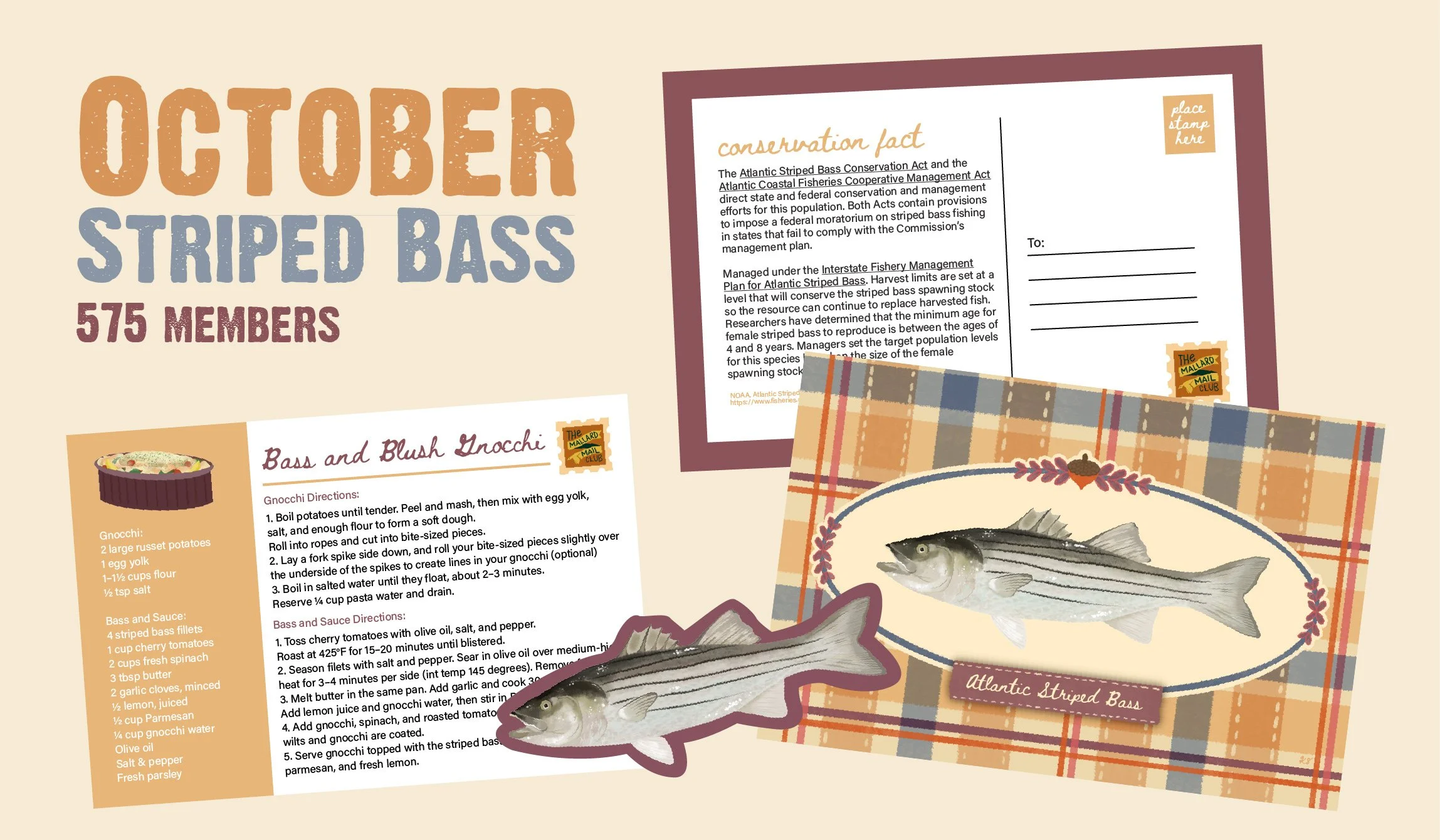 Striped Bass.jpg