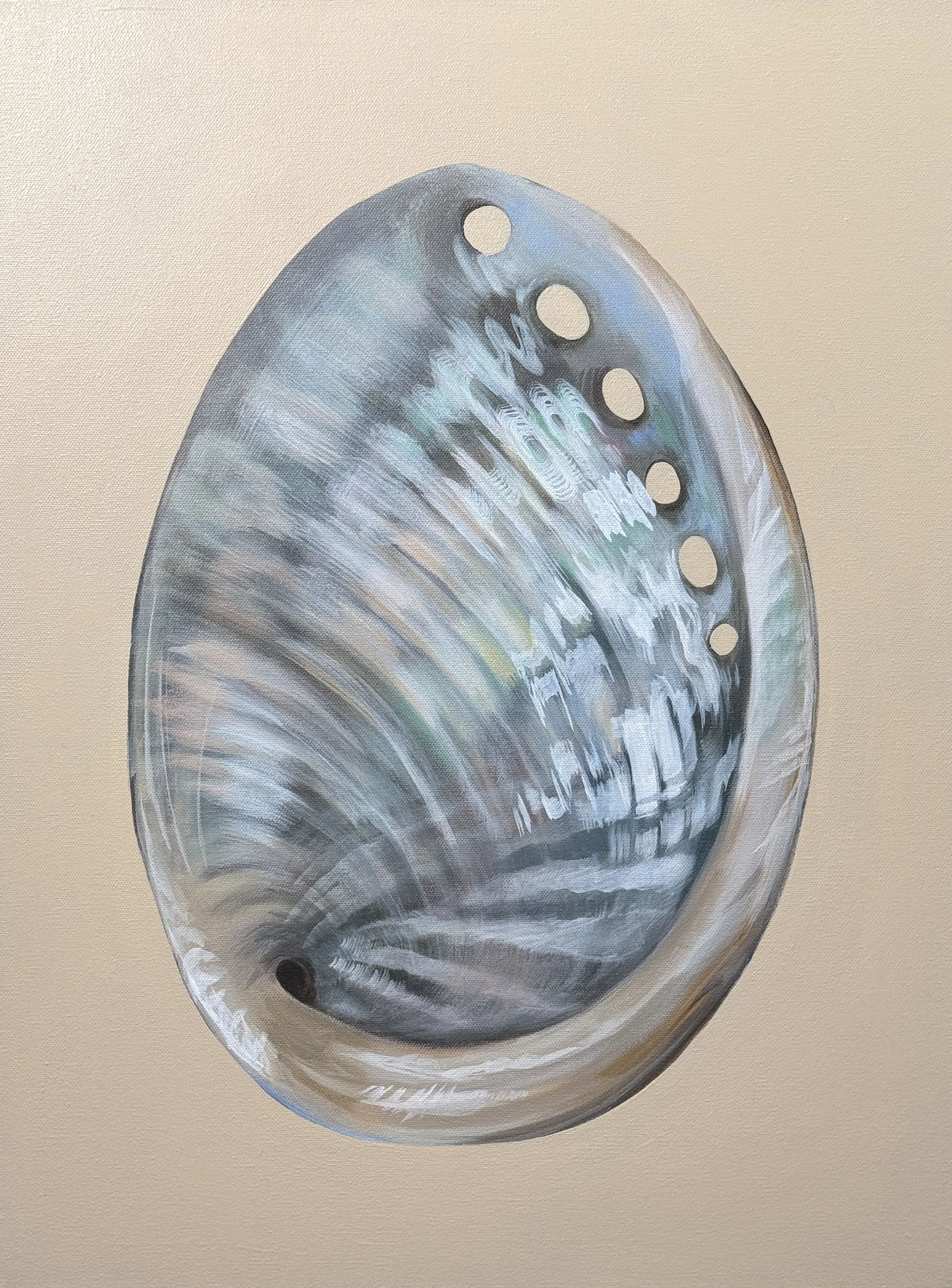 Shell No. 5