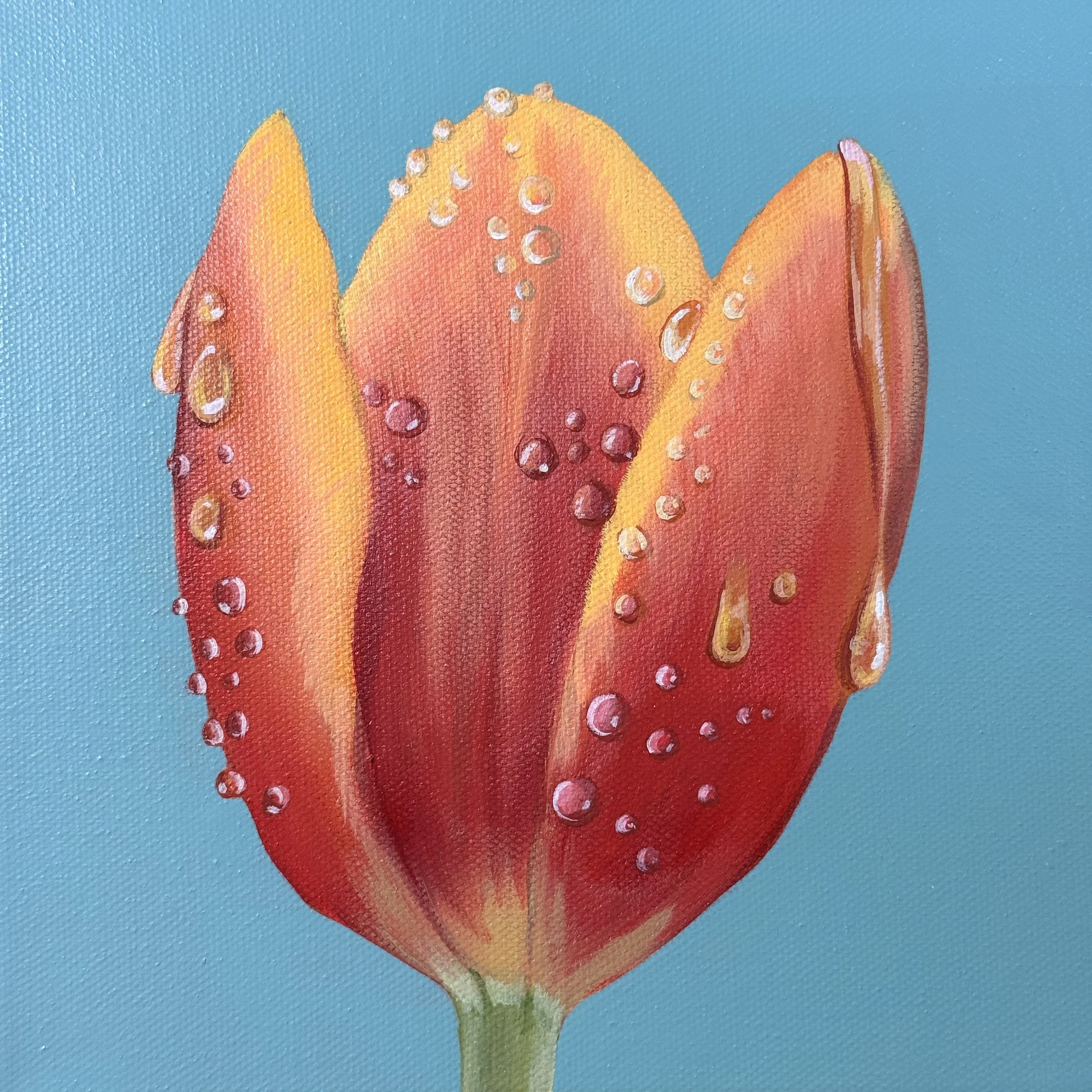 red tulip