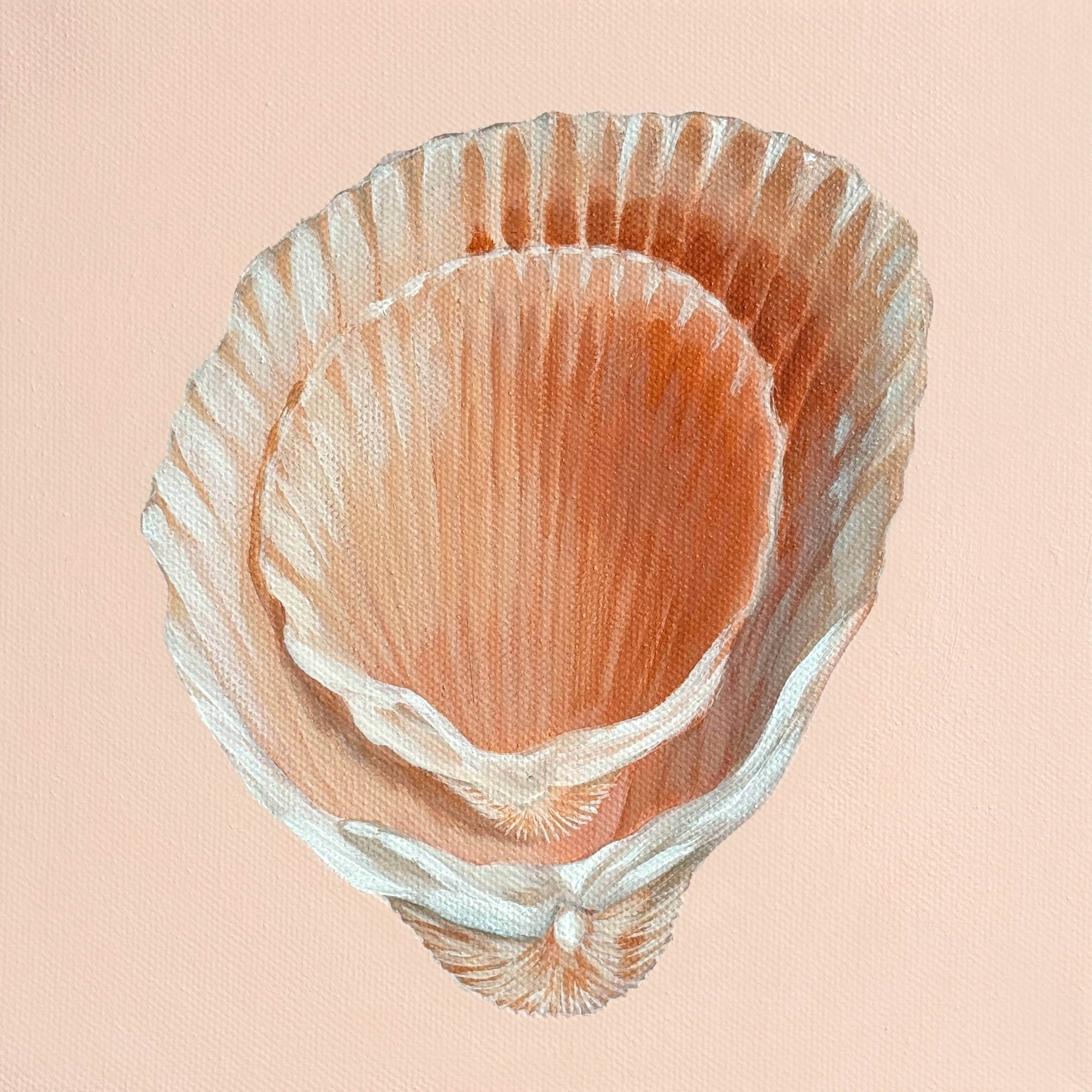 Shell Stack No. 5.png